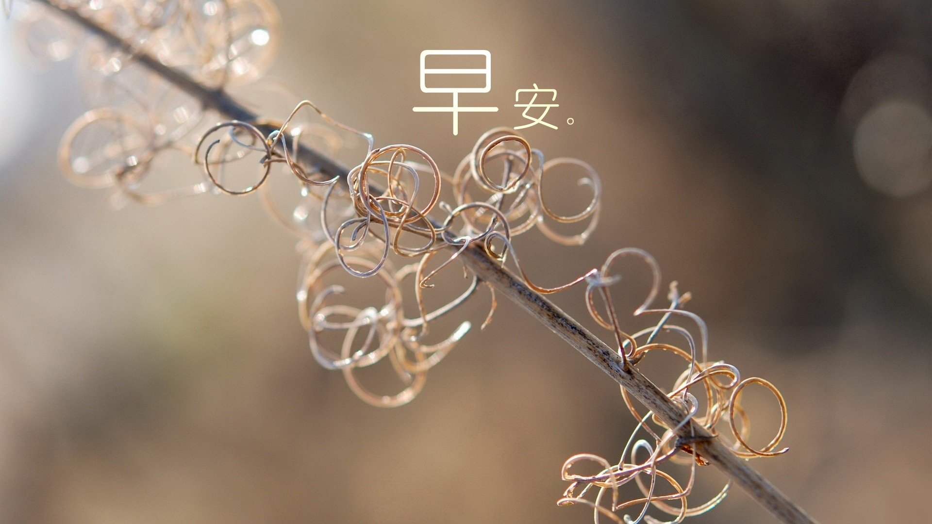 小清新 唯美 早安 温暖 温馨 夕阳 阳光