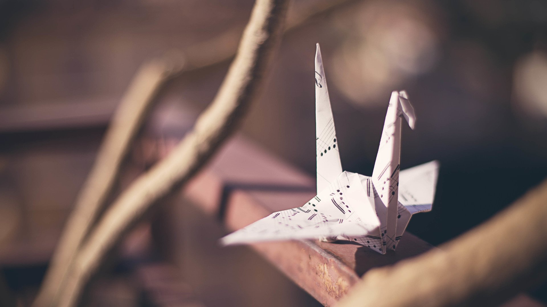 小清新 唯美 折纸 愿望 心愿 千纸鹤