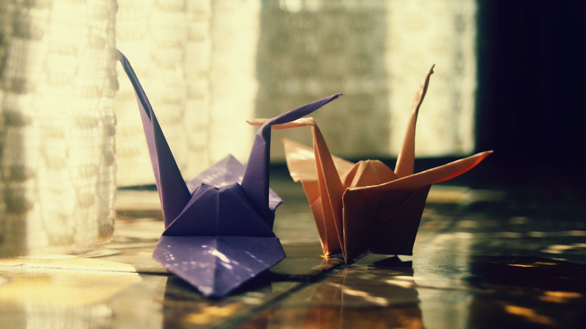 小清新 唯美 折纸 愿望 心愿 星星