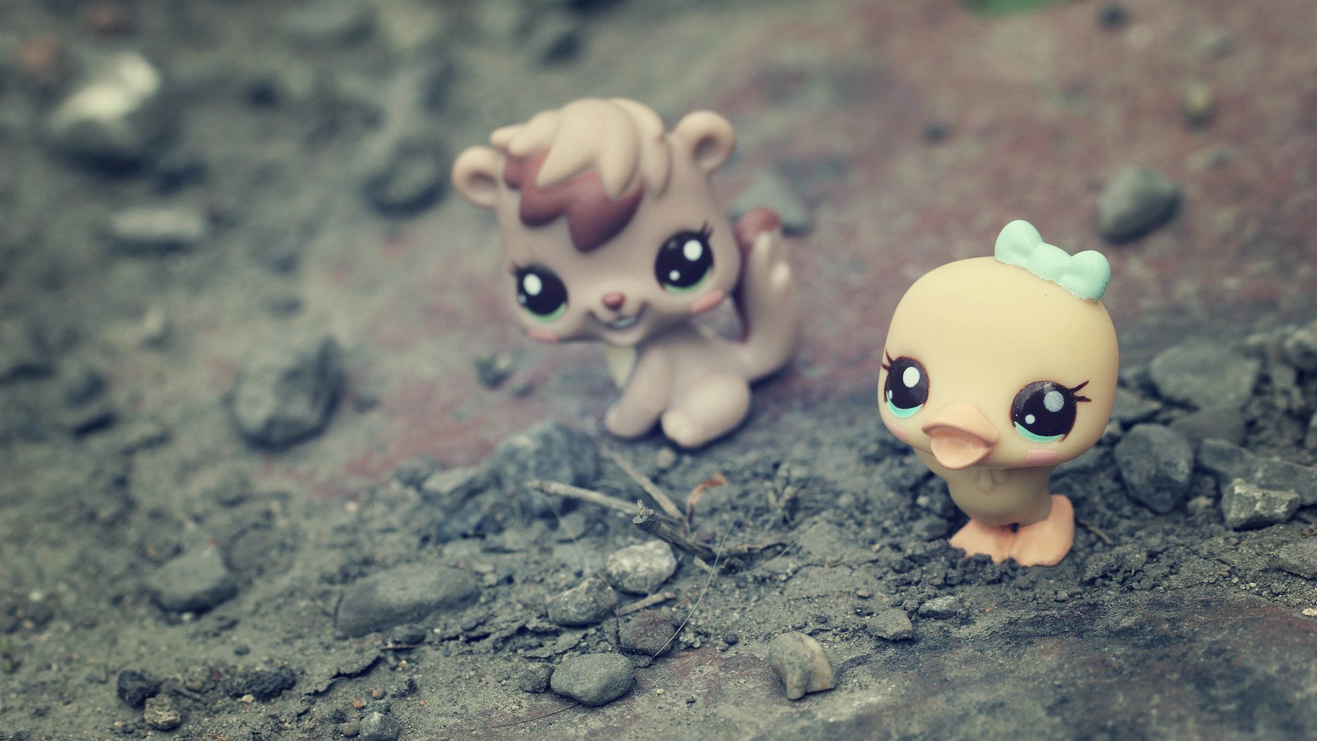 小清新 唯美 静物写真 物语 孤单 等待 温暖 安静