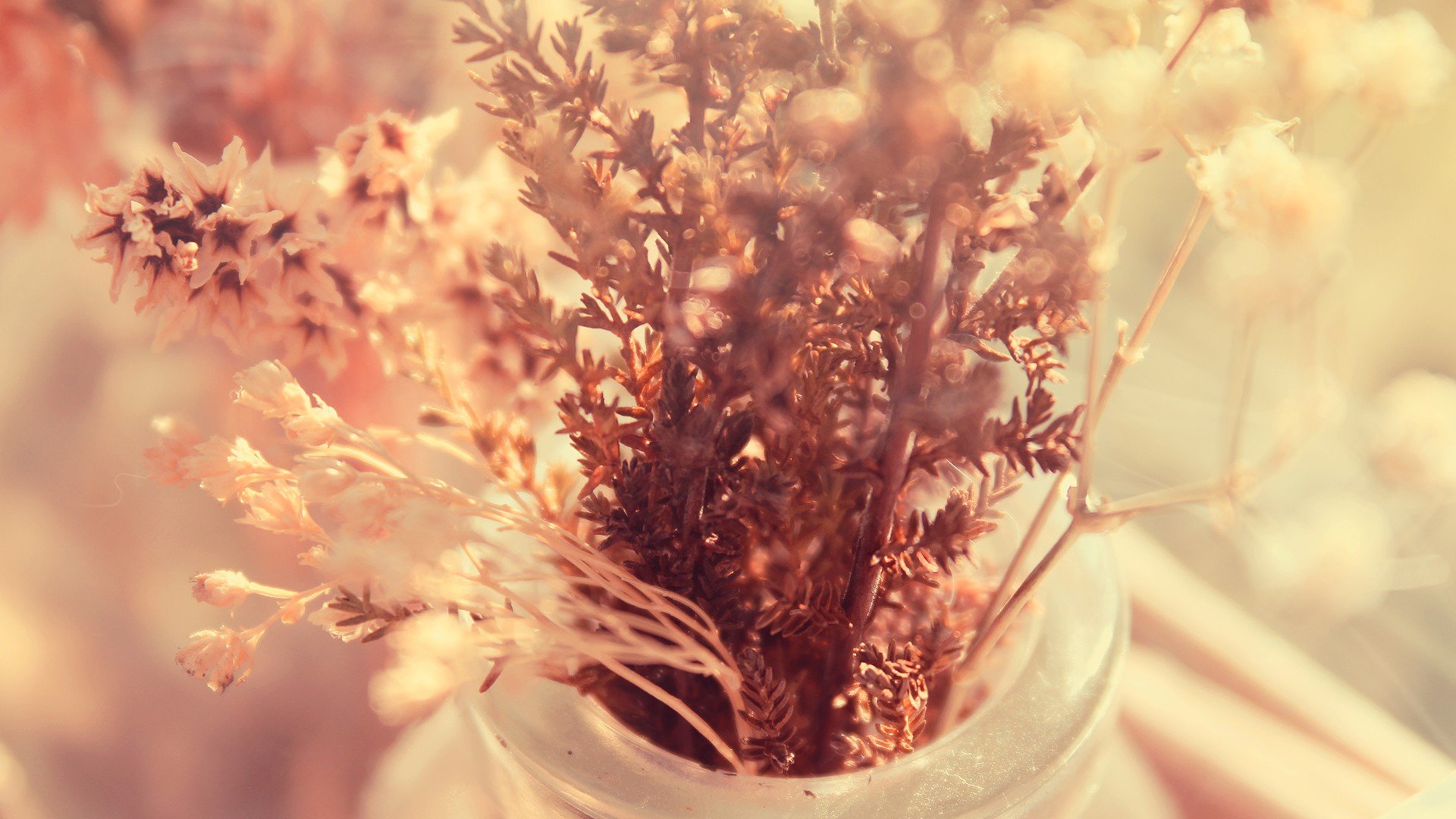 小清新 唯美 静物写真 温馨 物语 花