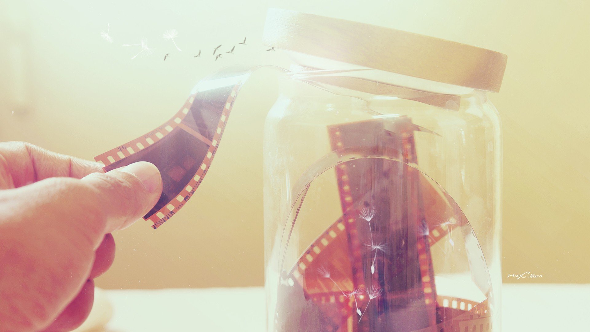 小清新 唯美 静物写真 温馨 物语 回忆 小世界