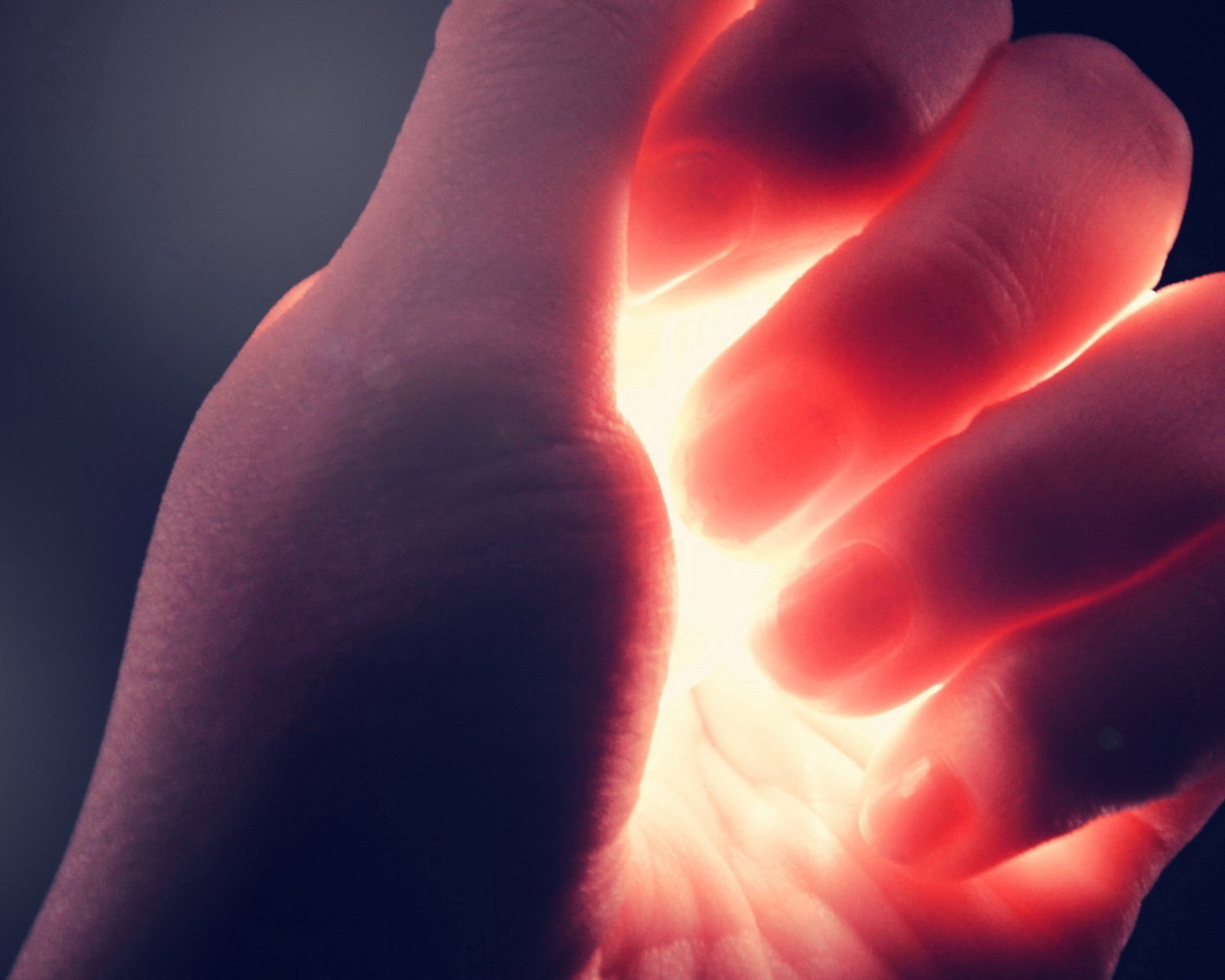 小清新 唯美 静物写真 温馨 物语 回忆 小花