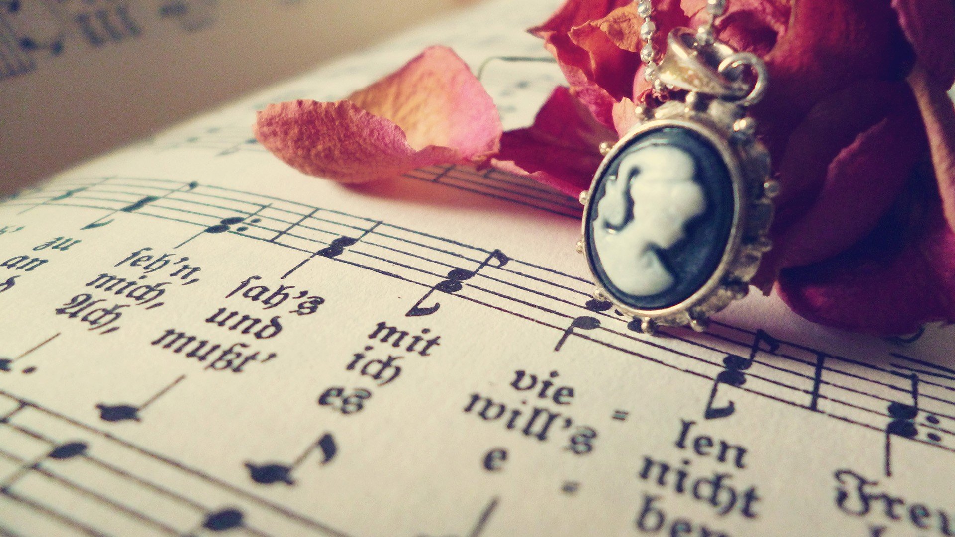 小清新 唯美 静物写真 温馨 物语 回忆 花  书