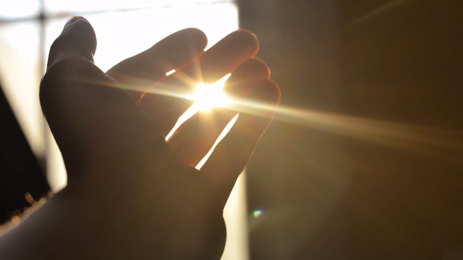 小清新 唯美 麦苗 麦田 丰收 夕阳 秋天