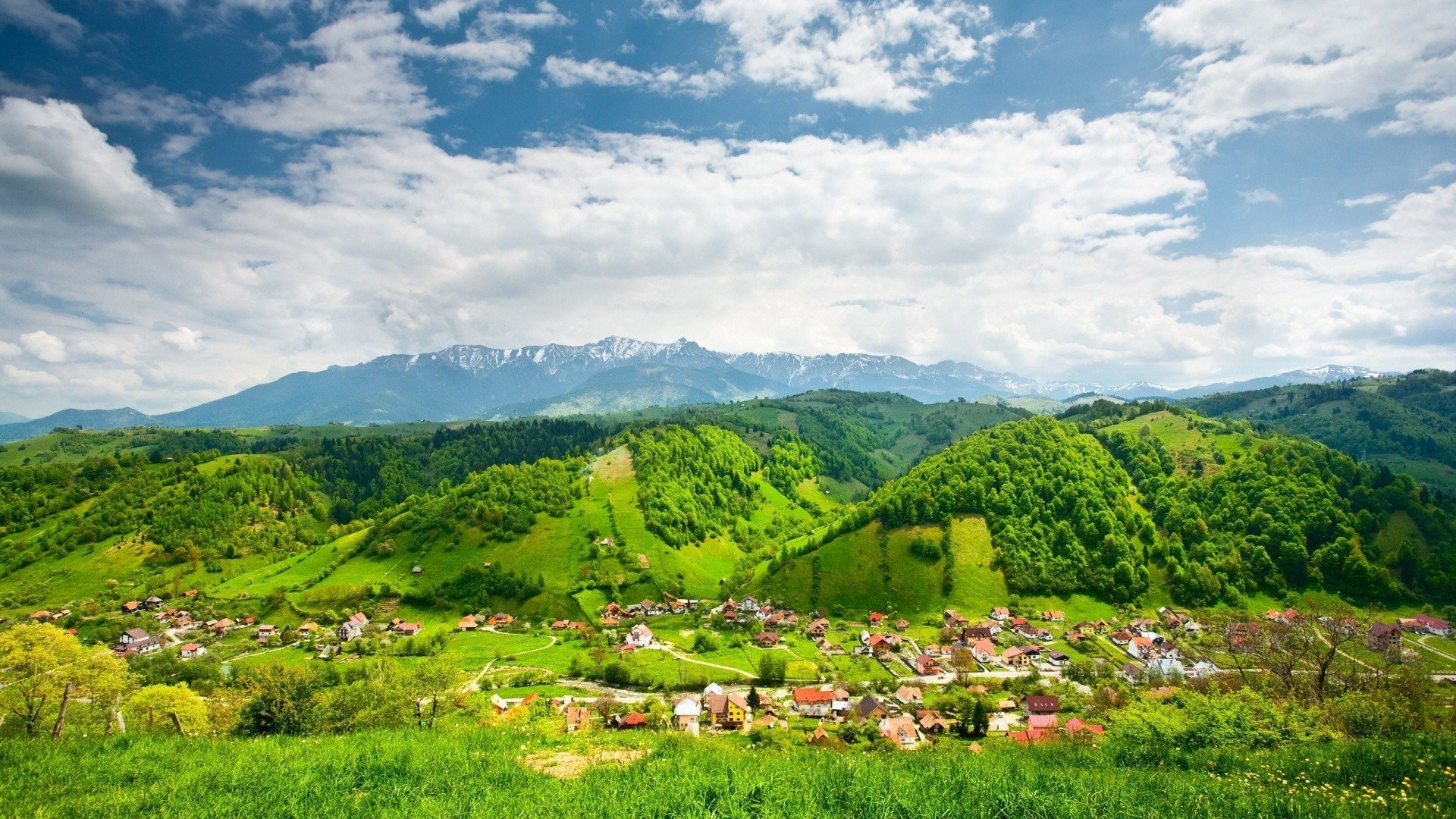 风景 自然风光 意境 炎炎夏日 青山