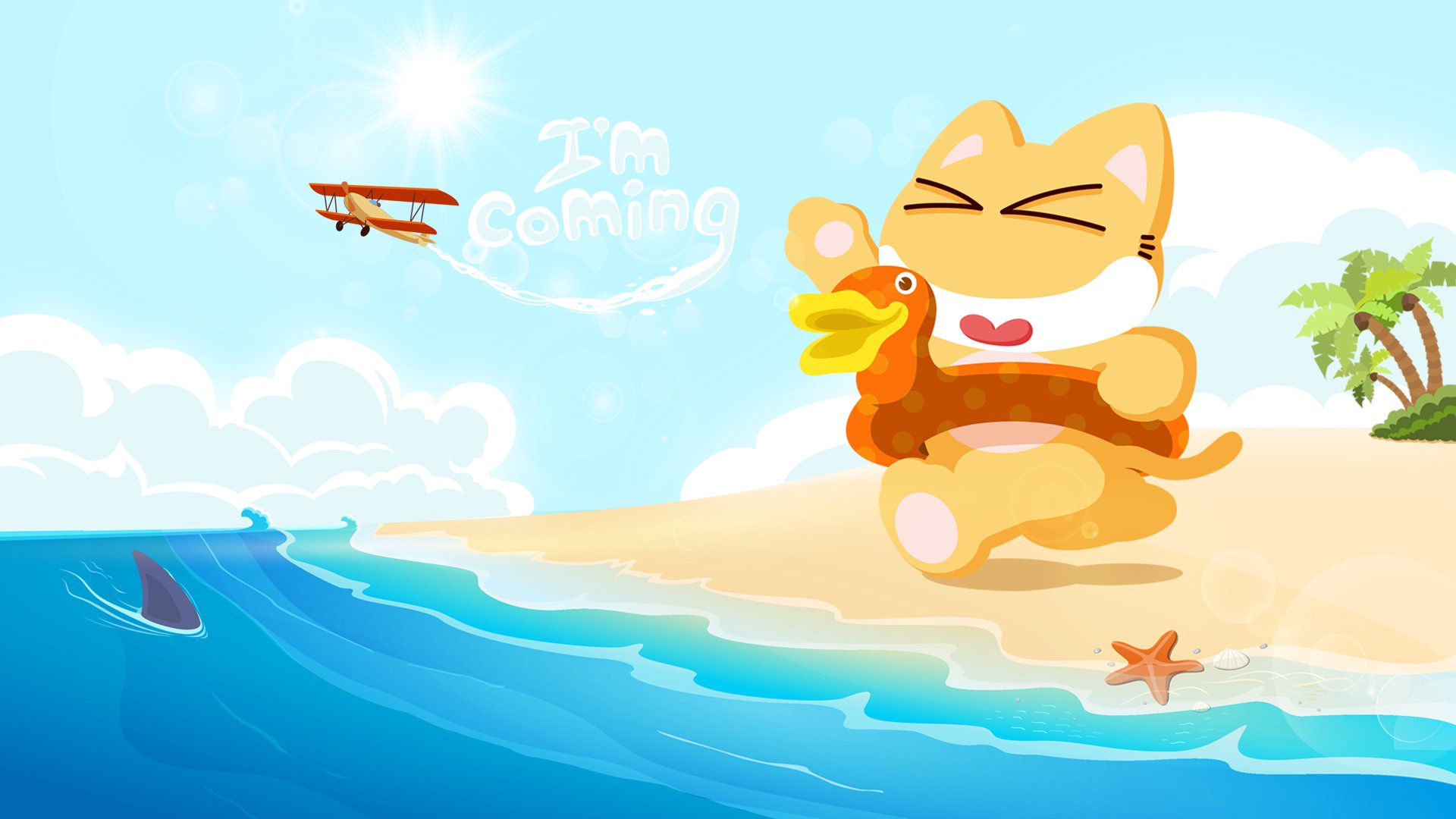 皮揣子猫 夏天 海边 清凉