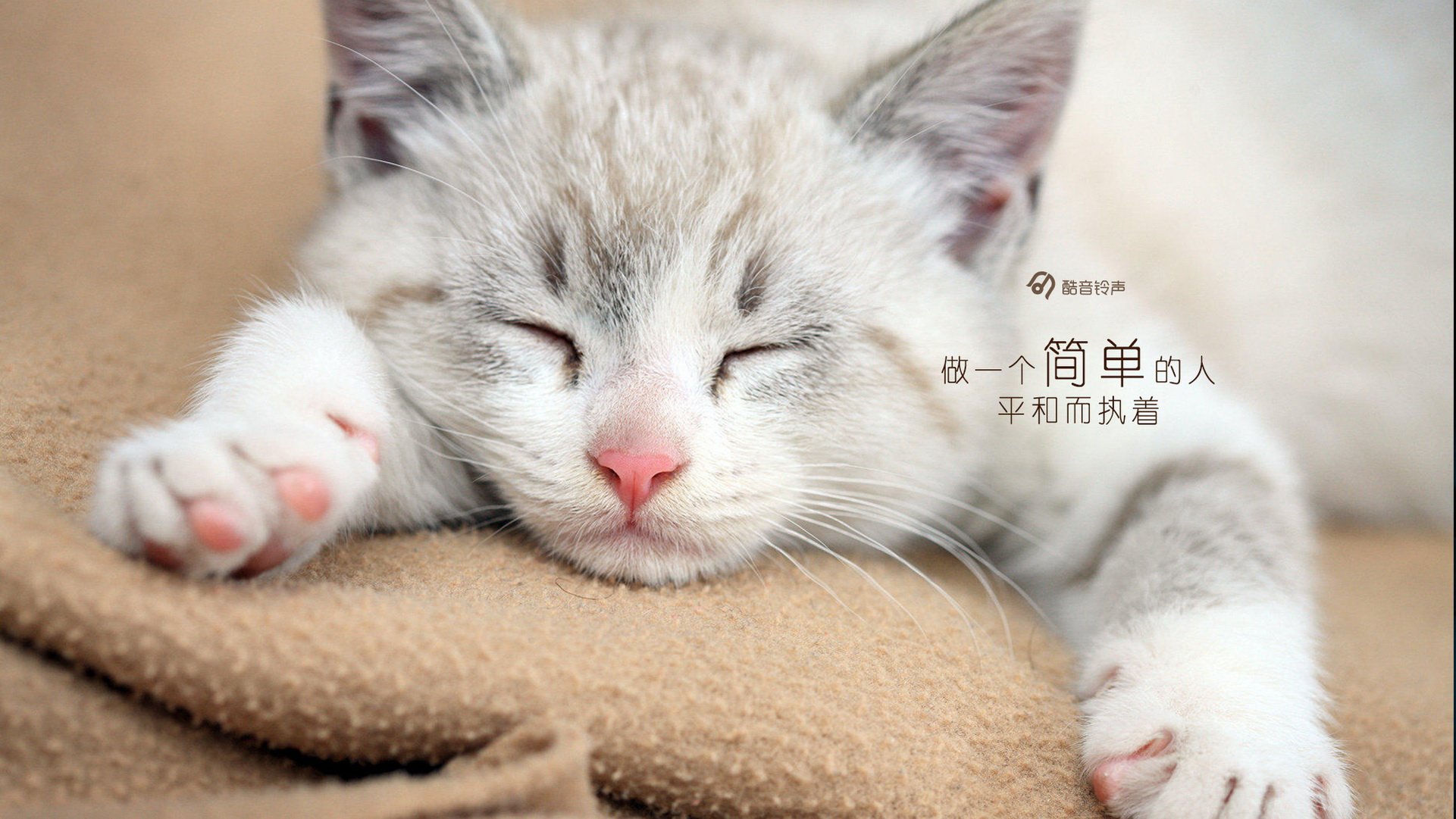 早安 @酷音铃声 文字 温馨 正能量 温暖