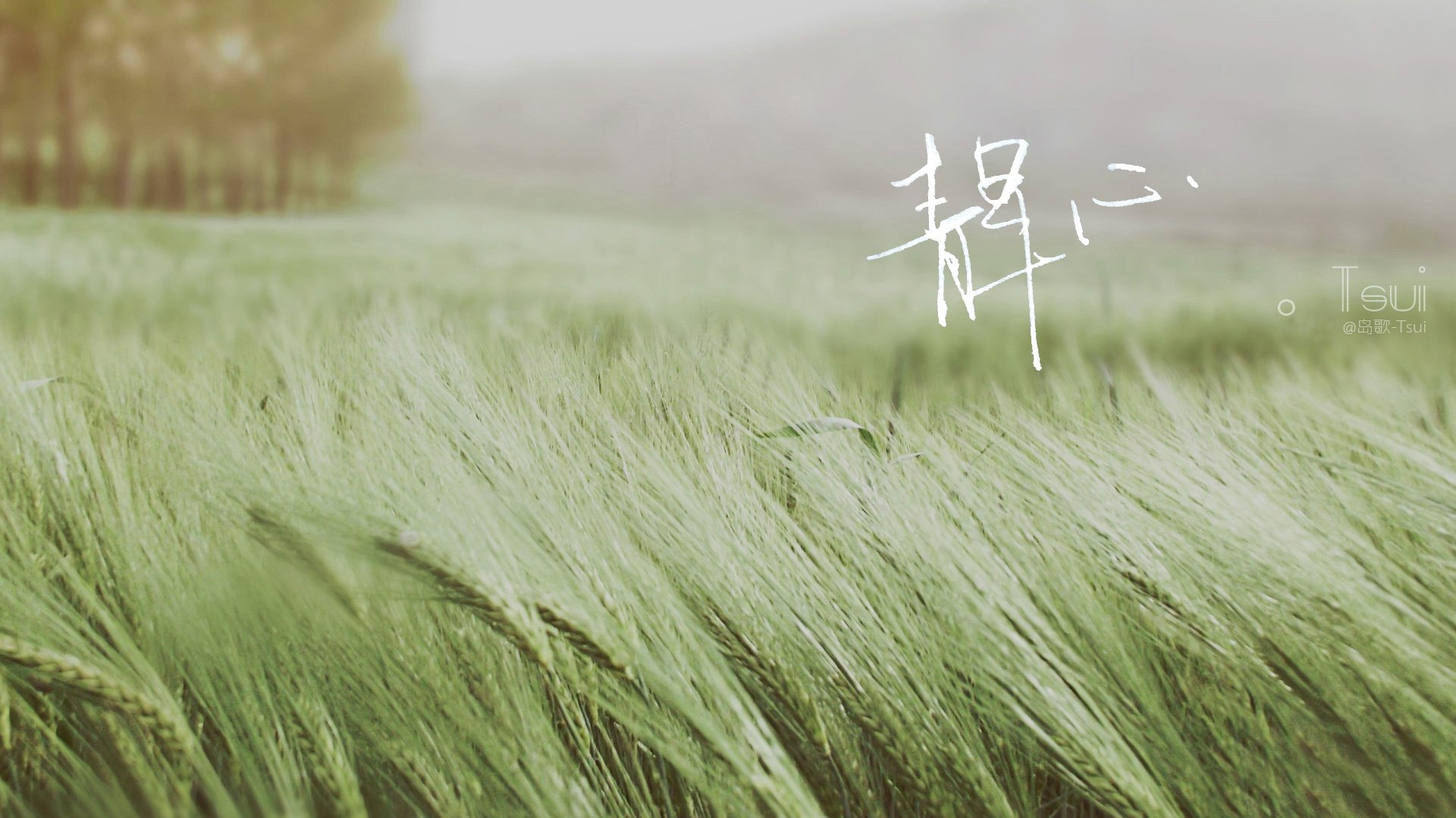 岛歌 手写 文字 伤感 文字控