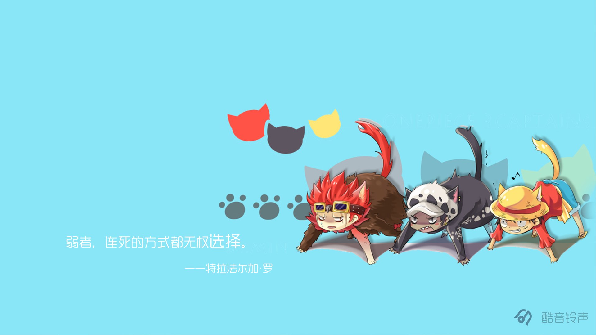 海贼王 励志 奋斗 正能量 文字 文字控 酷音铃声海贼王 @酷音铃声