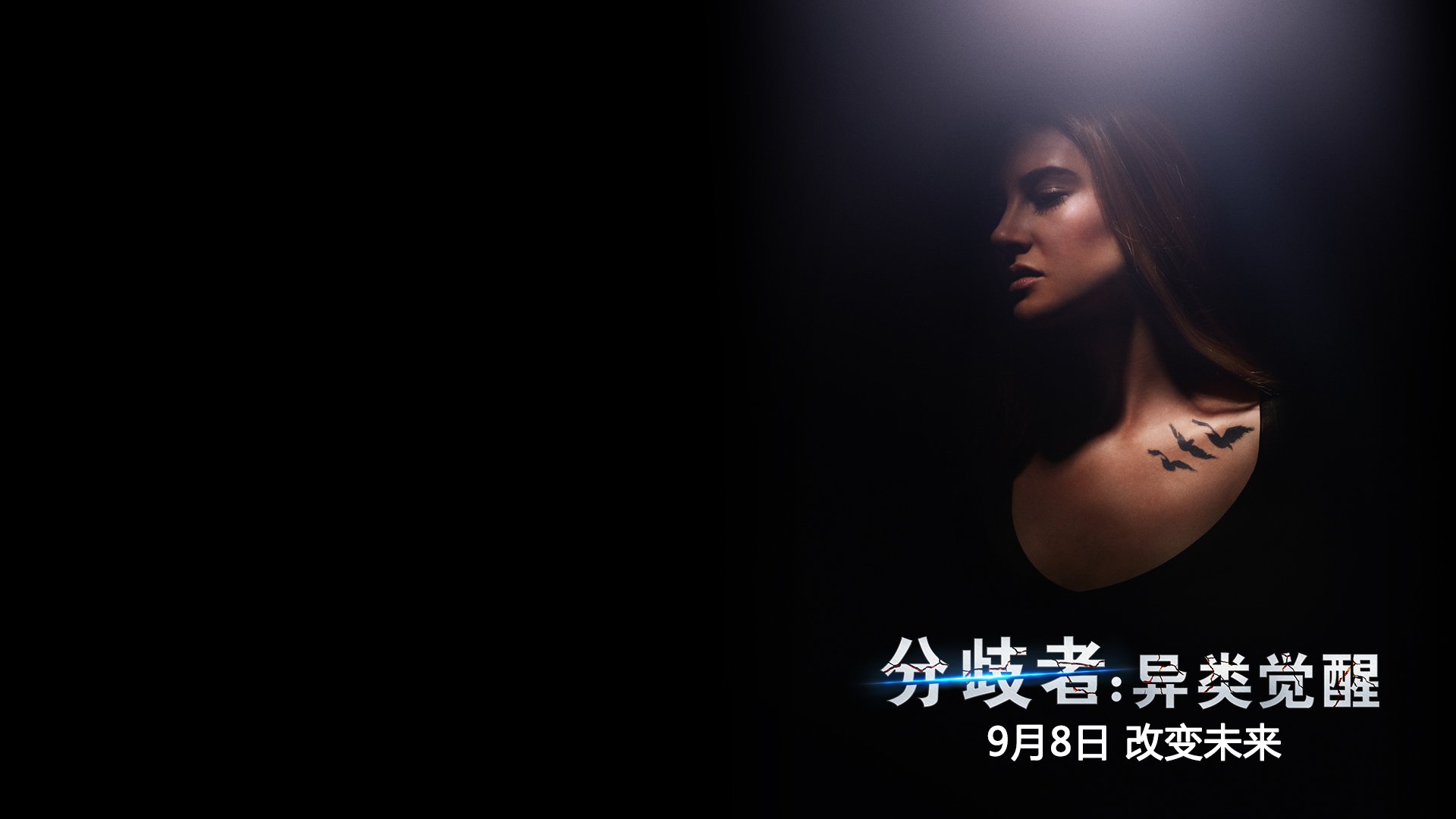 分歧者 明星 影视