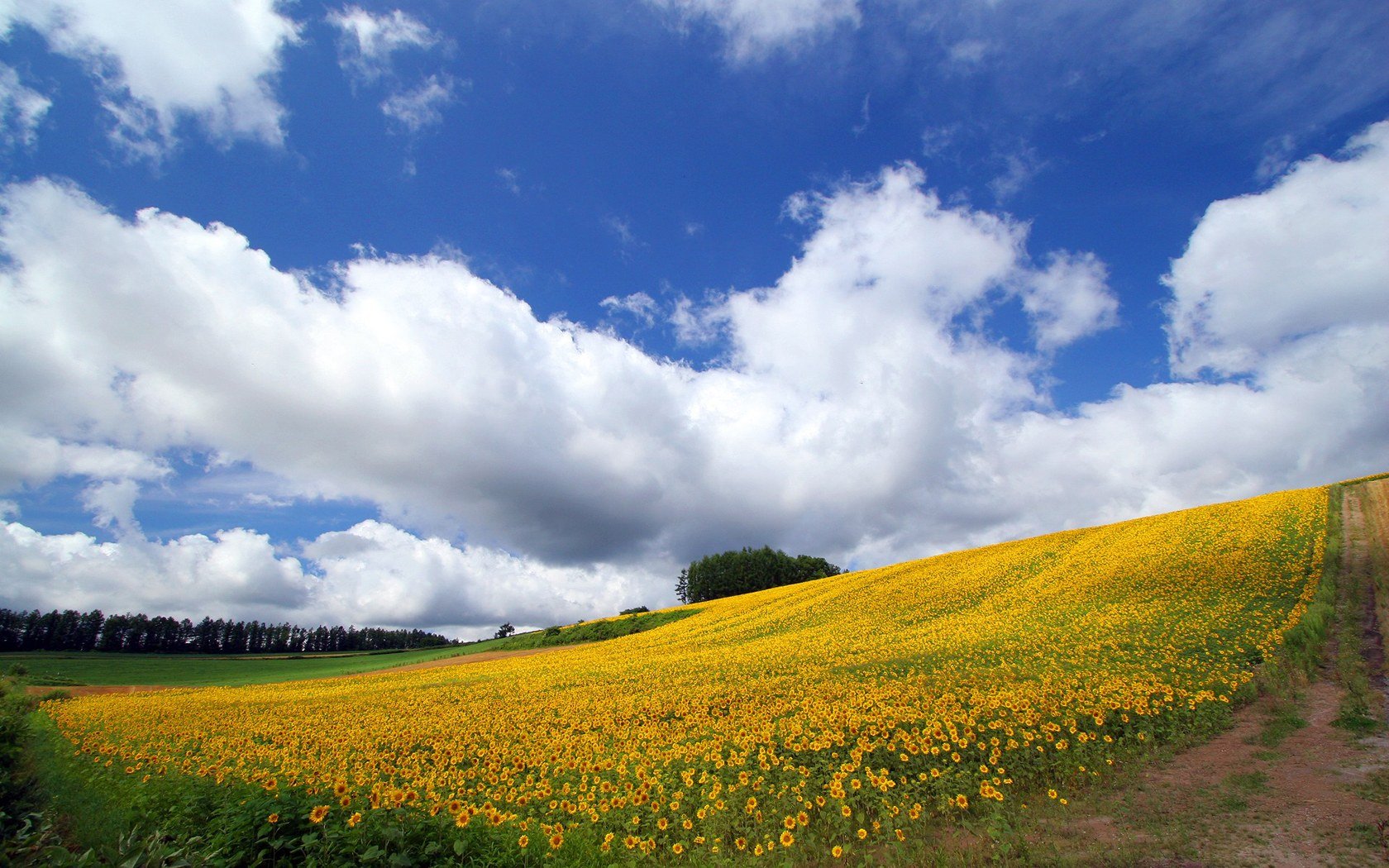 风景 自然风光 大自然 唯美 日本 北海道 日系 旅游胜地