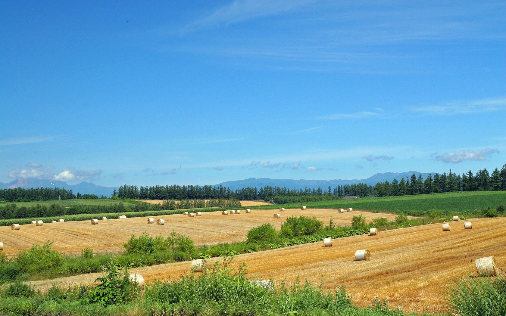 风景 自然风光 大自然 唯美 日本 北海道 日系 旅游胜地