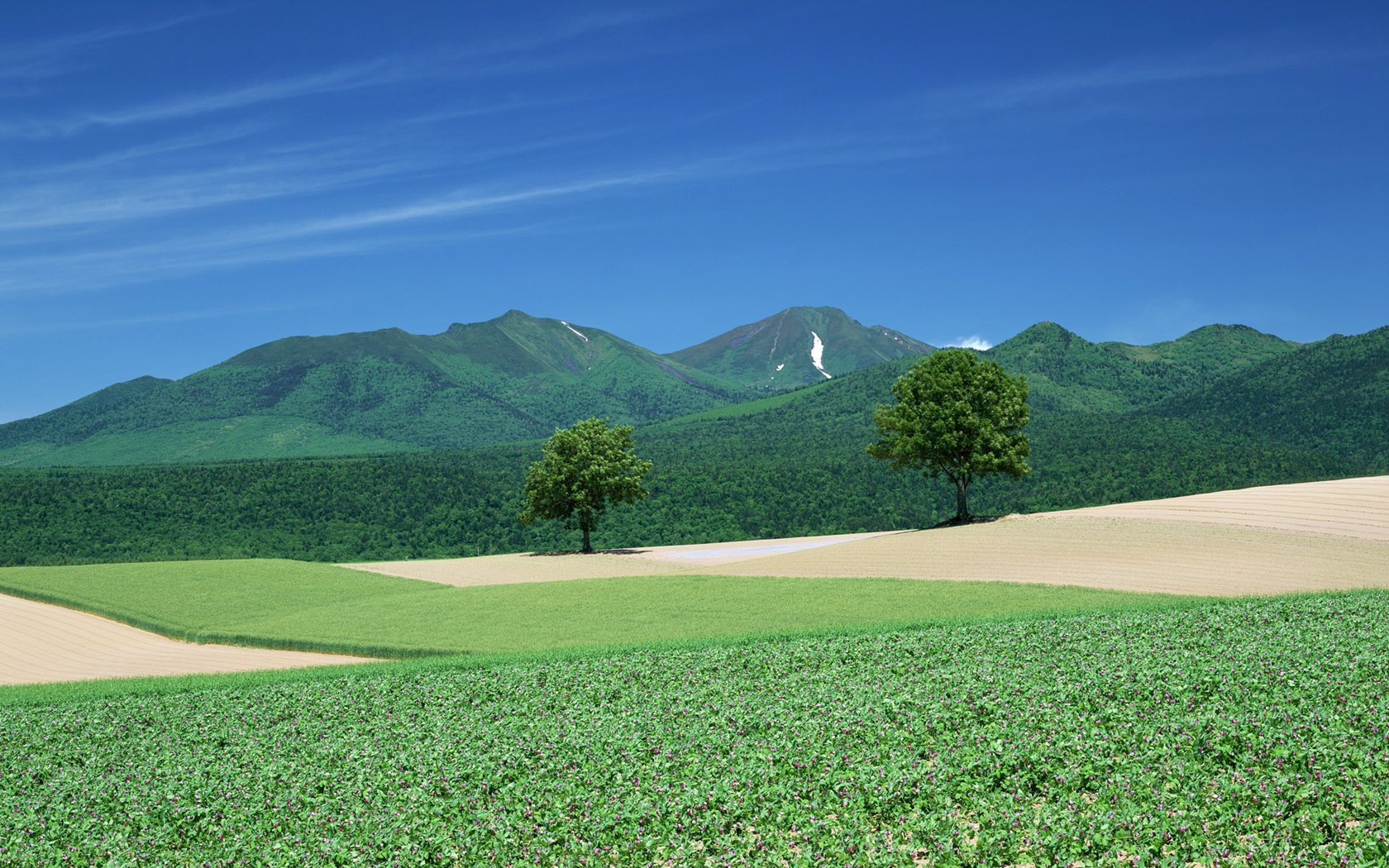 风景 自然风光 大自然 唯美 日本 北海道 日系 旅游胜地