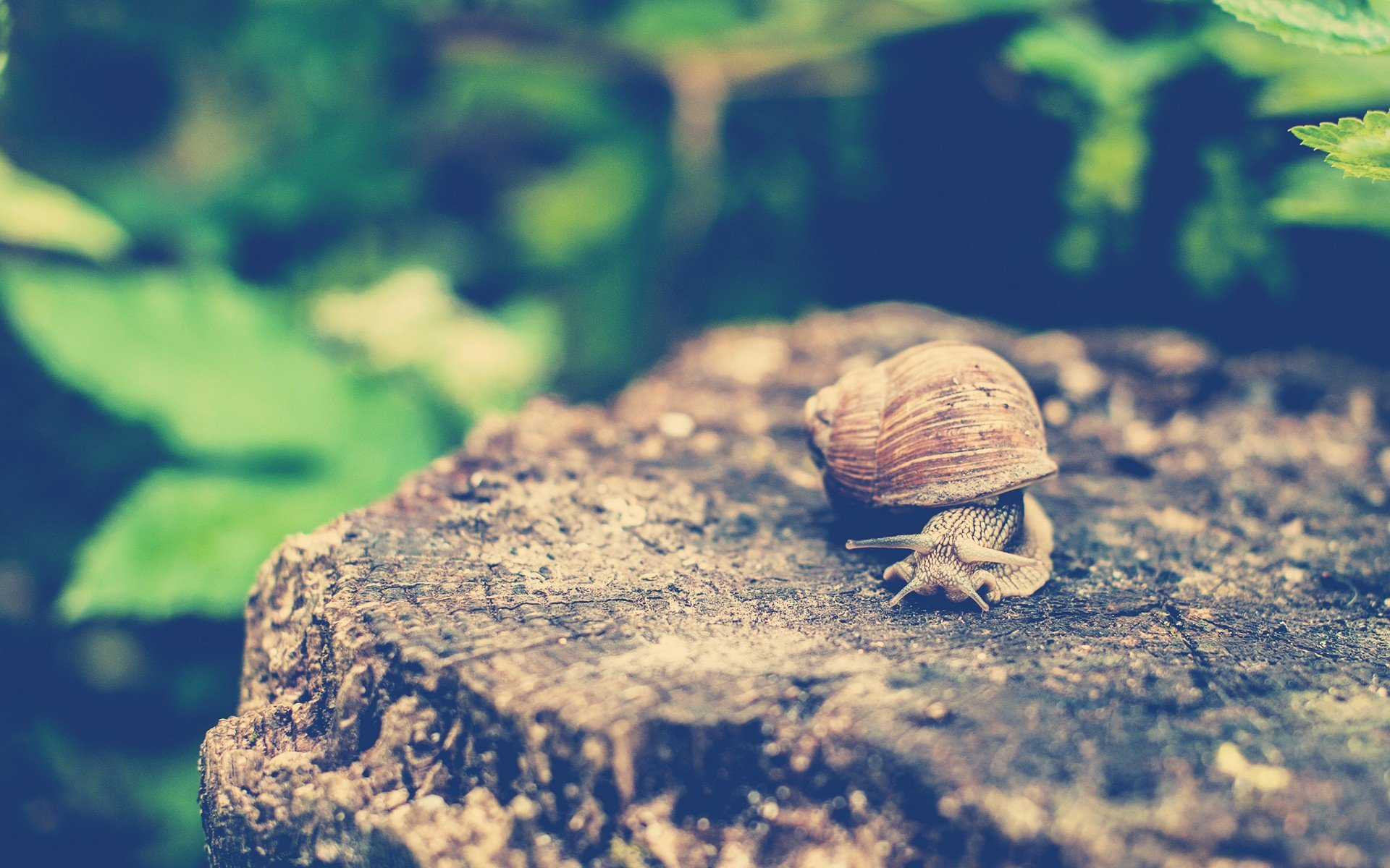 小清新 温暖 干净 安静 唯美 静物 物语 时光