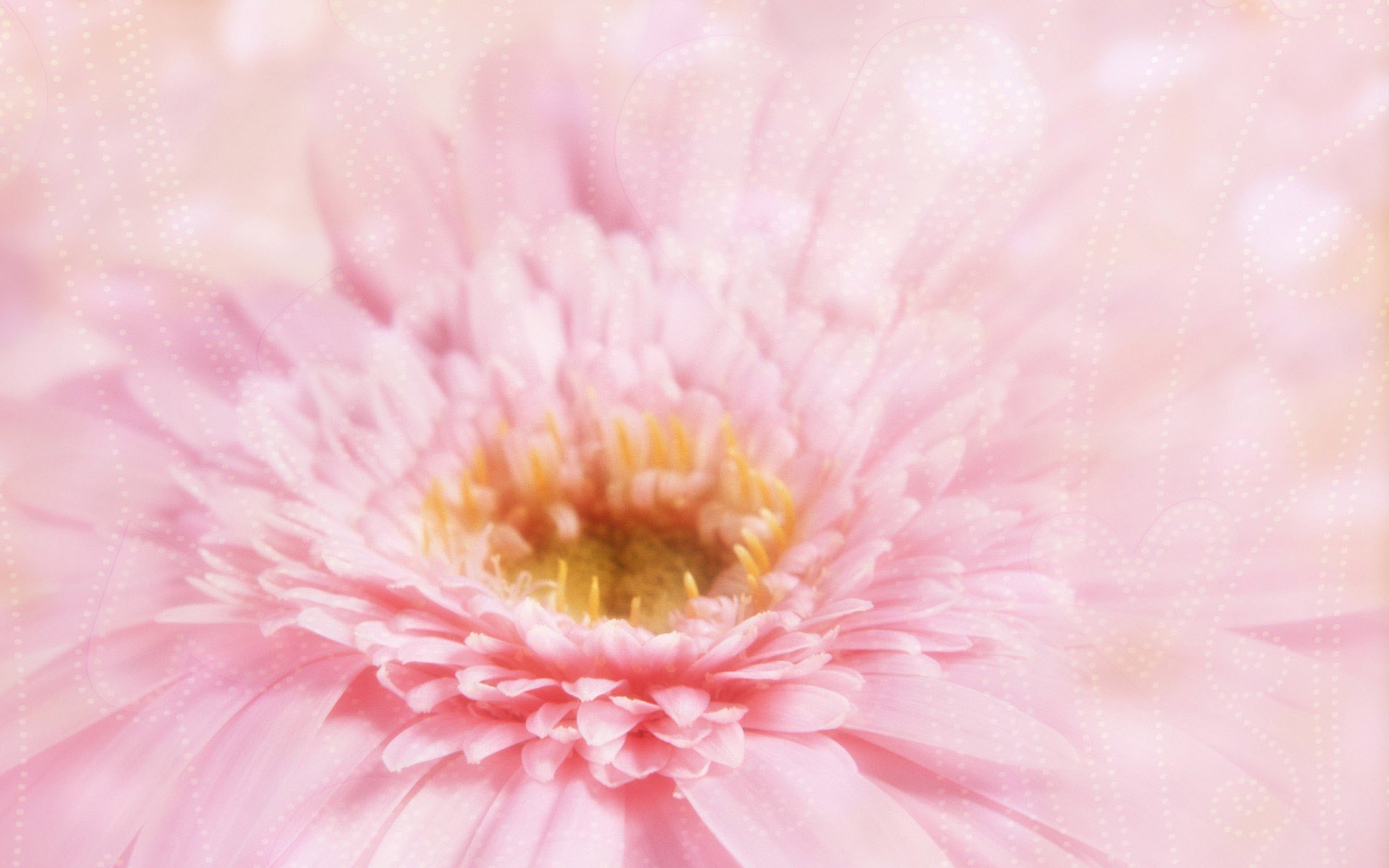 小清新 温暖 干净 安静 唯美 静物 物语 时光