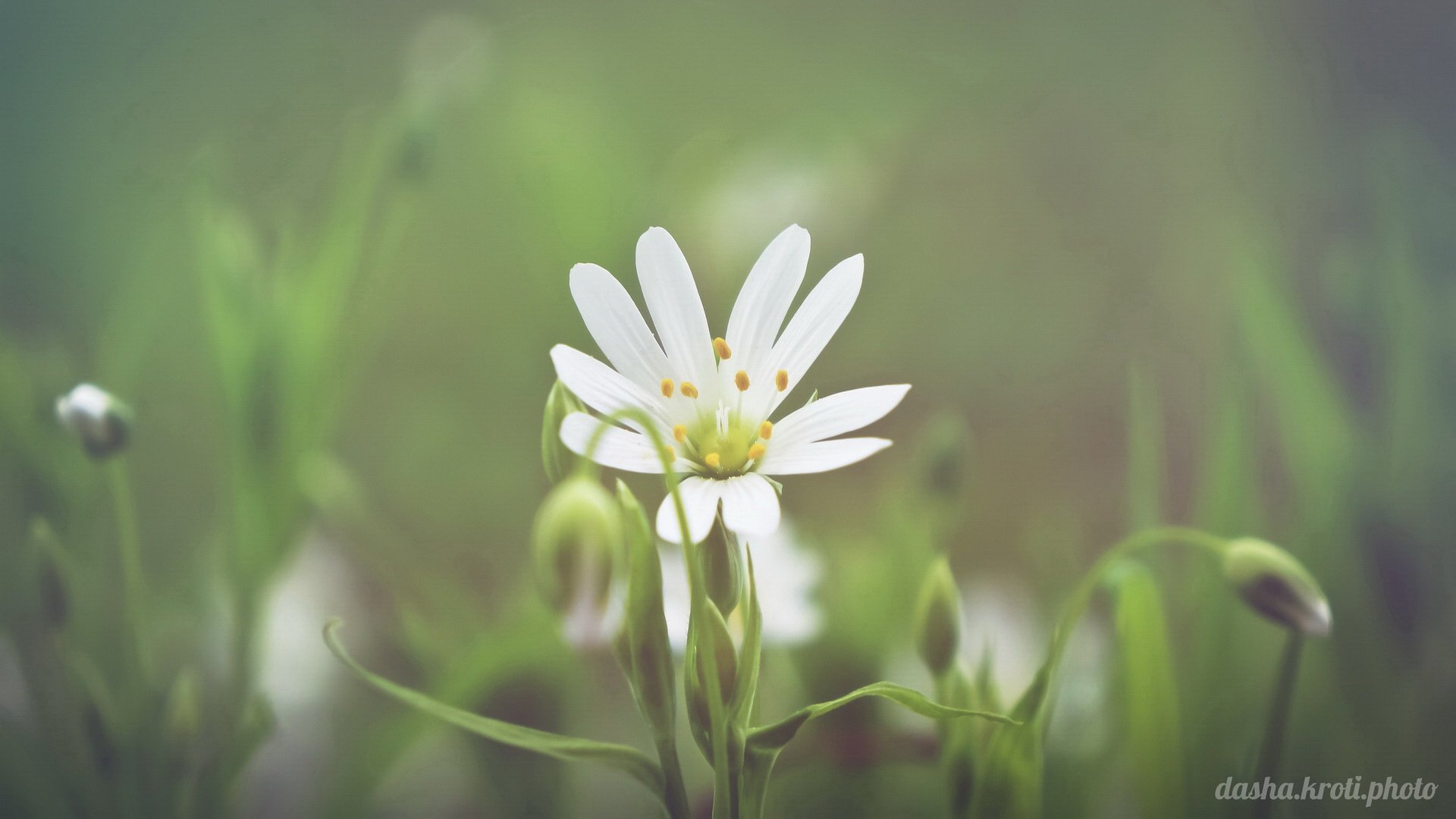 小清新 温暖 干净 安静 唯美 静物 物语 时光
