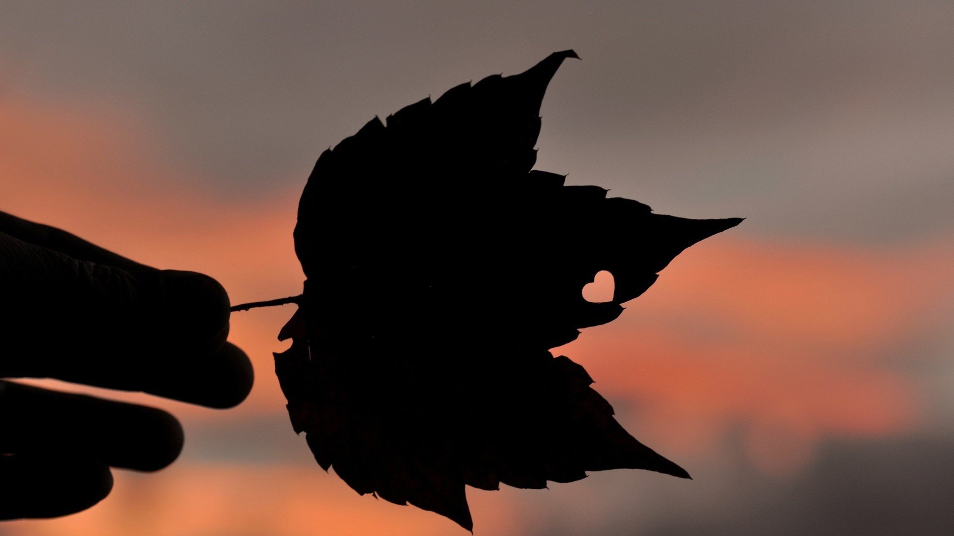 小清新 温暖 干净 安静 唯美 静物 物语 时光