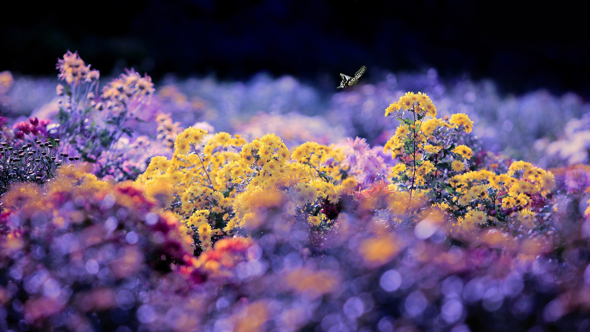 小清新 温暖 干净 安静 唯美 静物 物语 时光