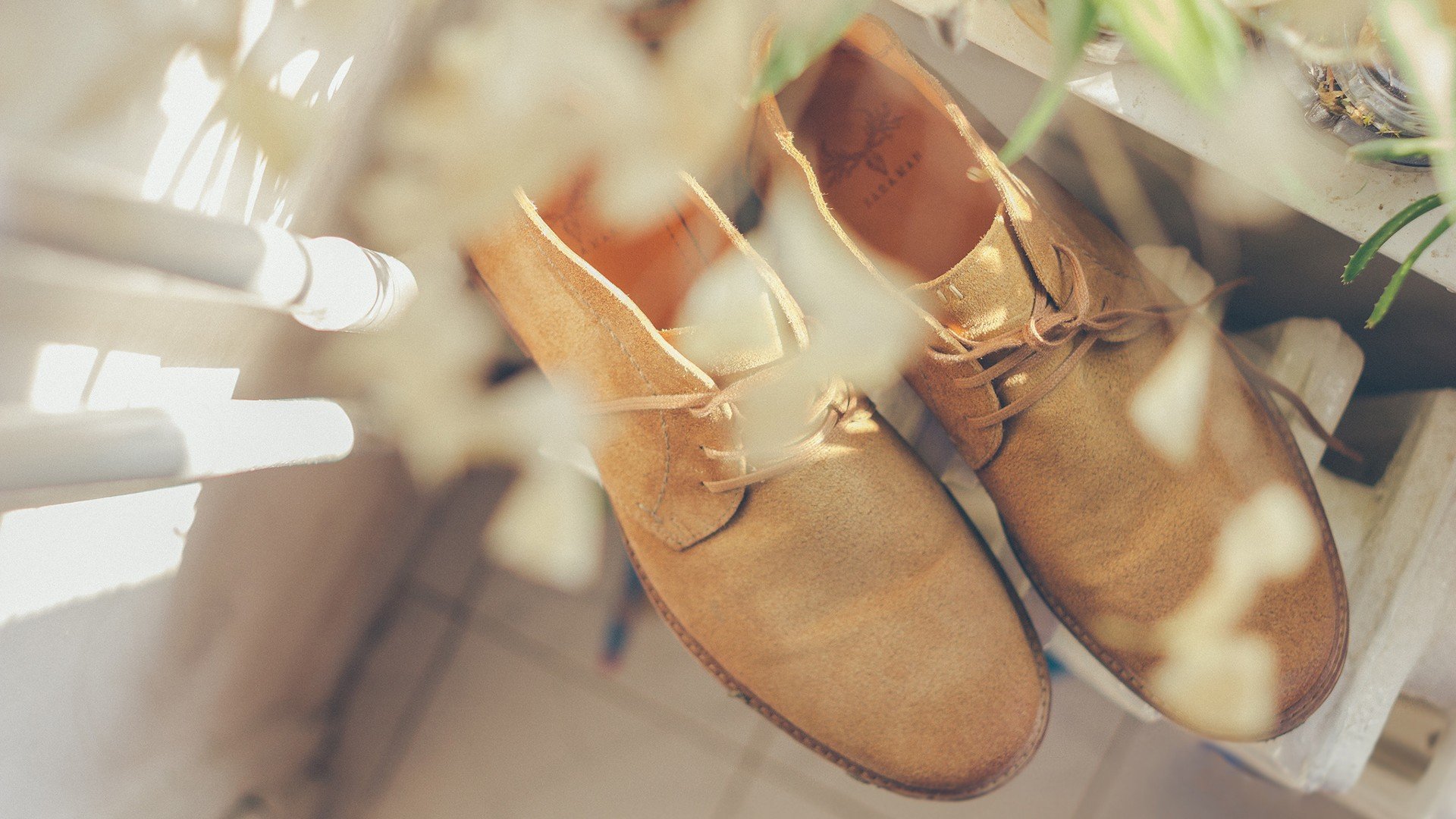 小清新 温暖 干净 安静 唯美 静物 物语 时光