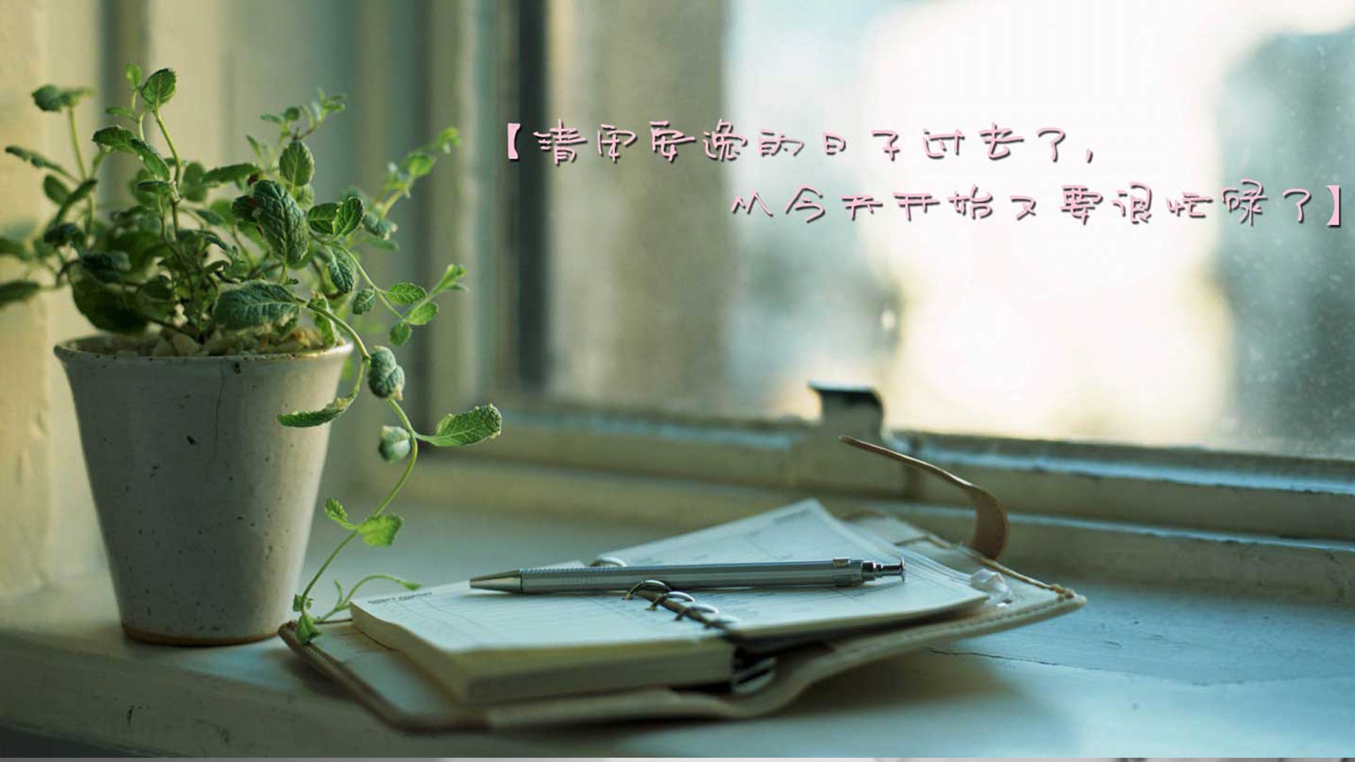 小清新 温暖 干净 安静 唯美 静物 物语 时光 开学 @酷音铃声