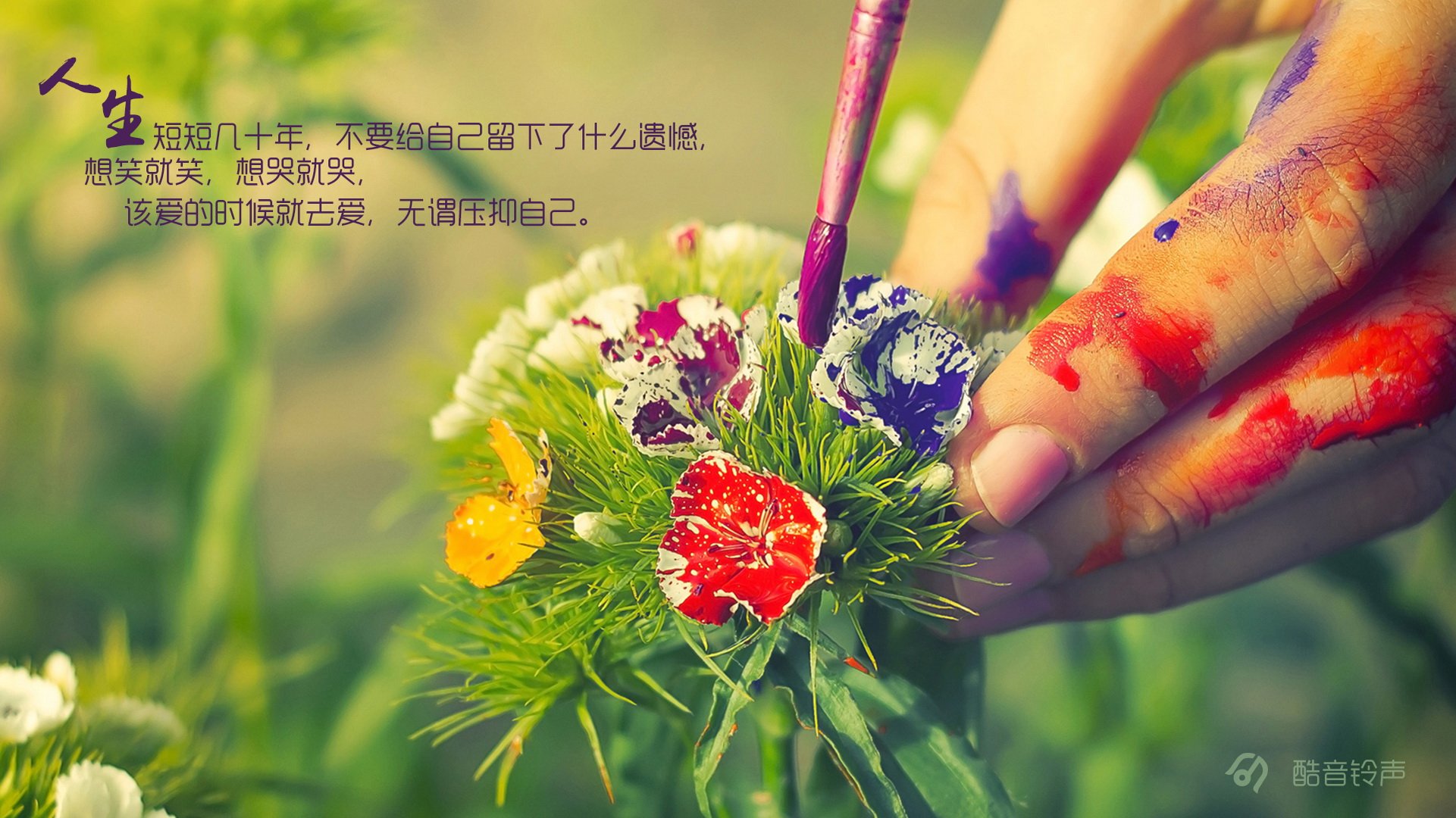 小清新 温暖 干净 安静 唯美 静物 物语 时光 恋生活 文字 @酷音铃声