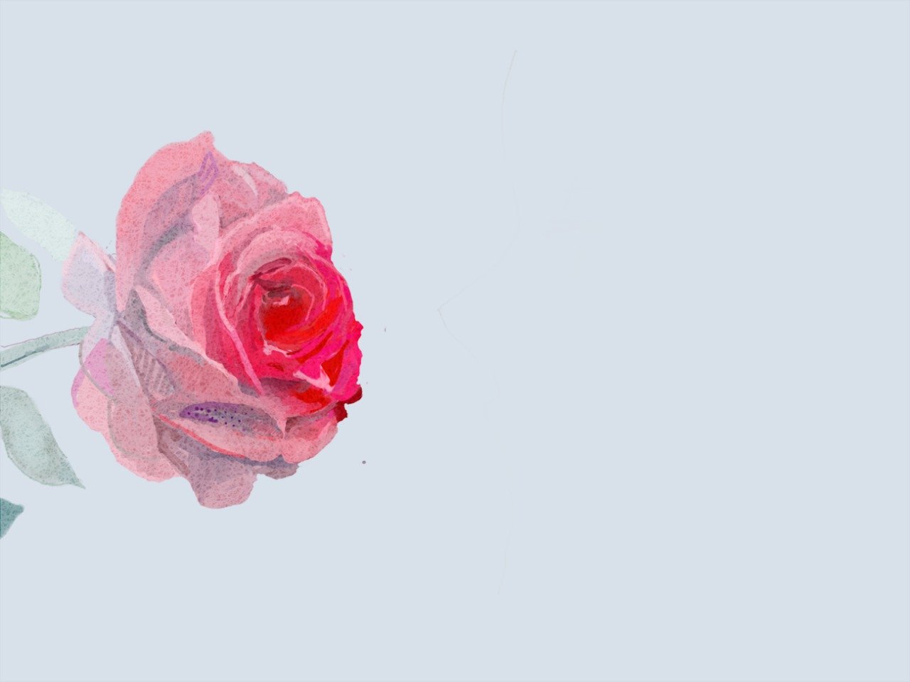 小清新 温暖 干净 安静 唯美 静物 物语 时光 花 清新淡雅 鸟语花香