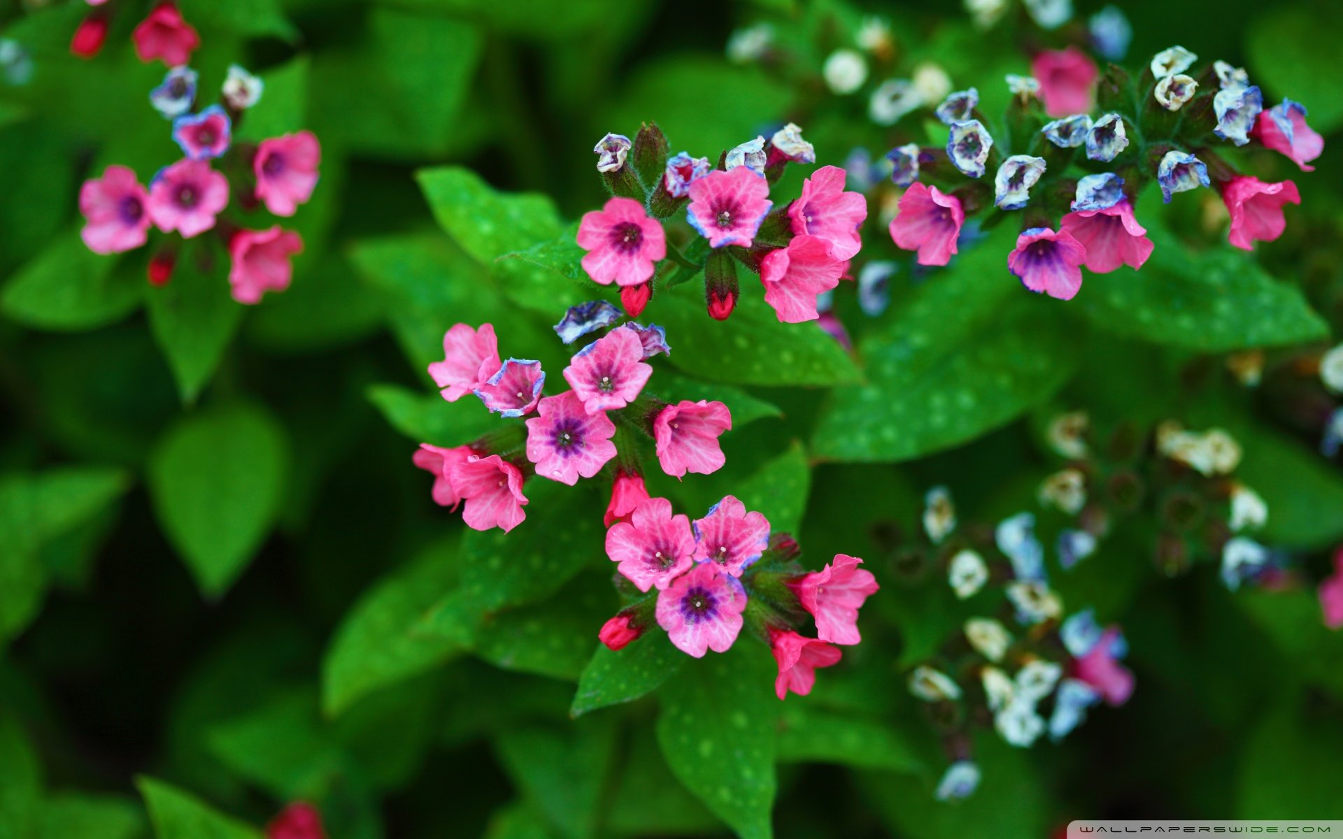 小清新 温暖 干净 安静 唯美 静物 物语 时光