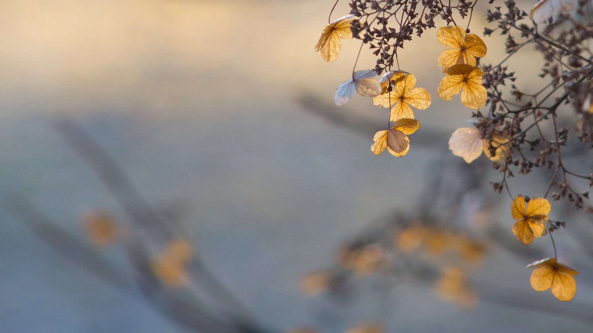 小清新 温暖 干净 安静 唯美 静物 物语 时光