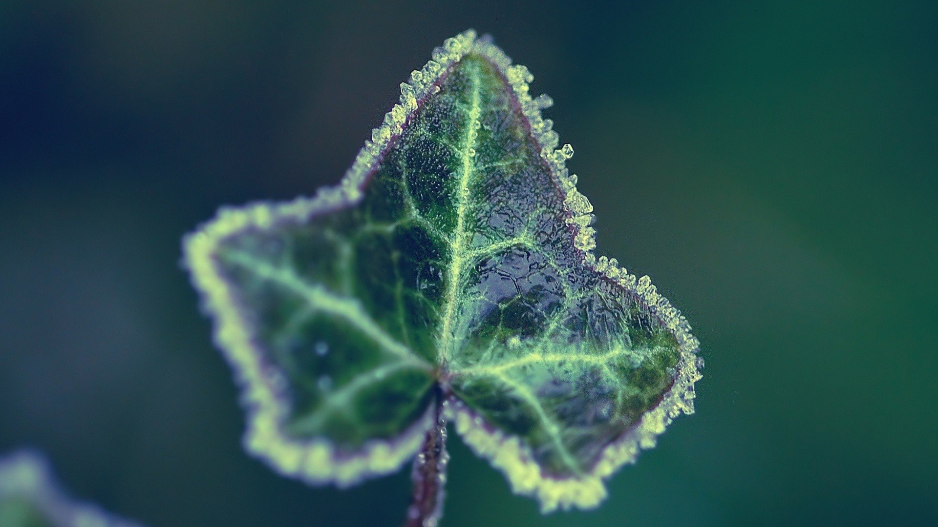 小清新 温暖 干净 安静 唯美 静物 物语 时光 清新淡雅 宁静安详