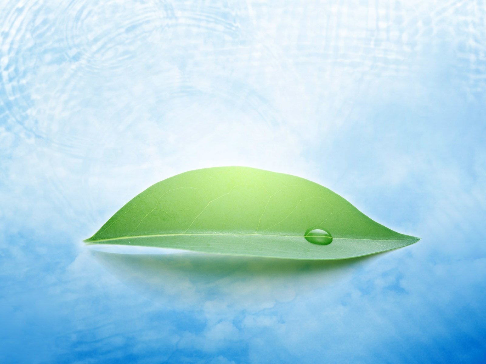 小清新 温暖 干净 安静 唯美 静物 物语 时光 清新淡雅 宁静安详