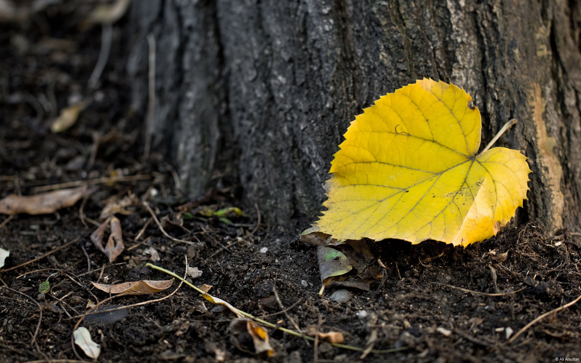小清新 温暖 干净 安静 唯美 静物 物语 时光 清新淡雅 宁静安详
