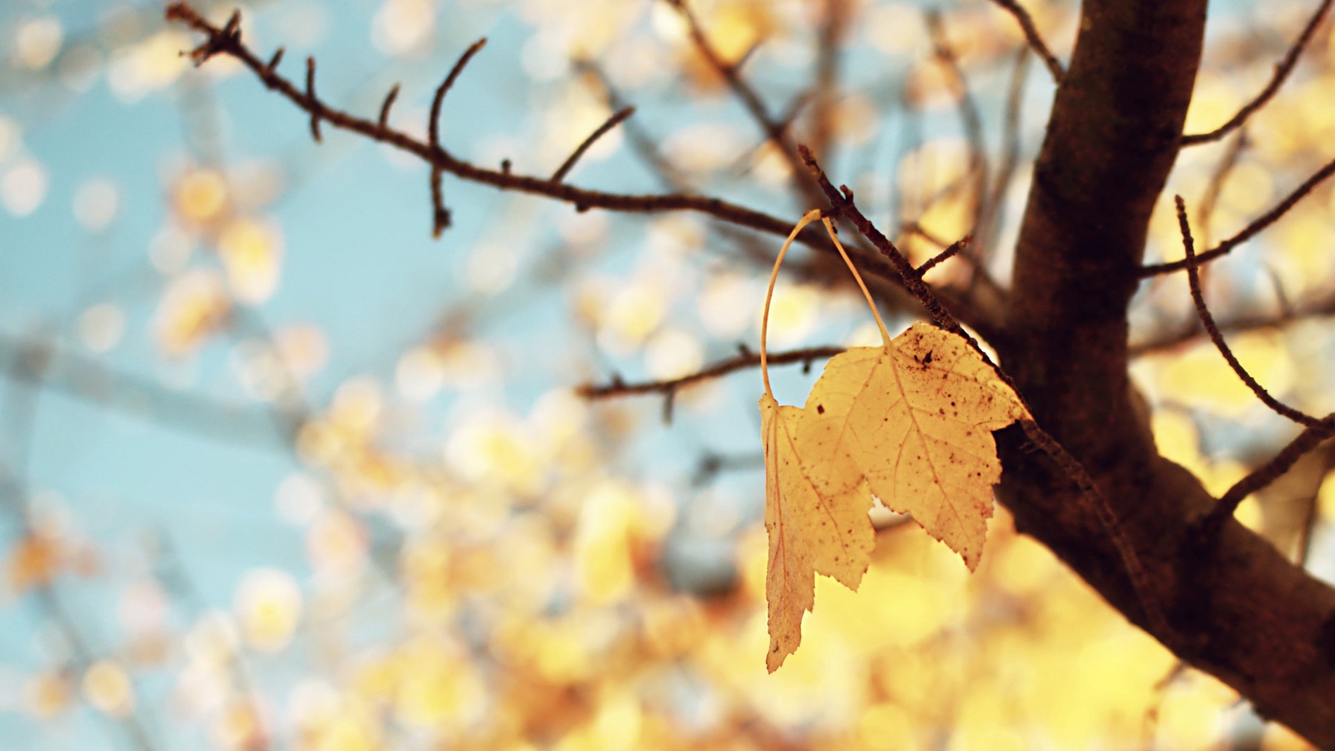 小清新 温暖 干净 安静 唯美 静物 物语 时光 清新淡雅 宁静安详