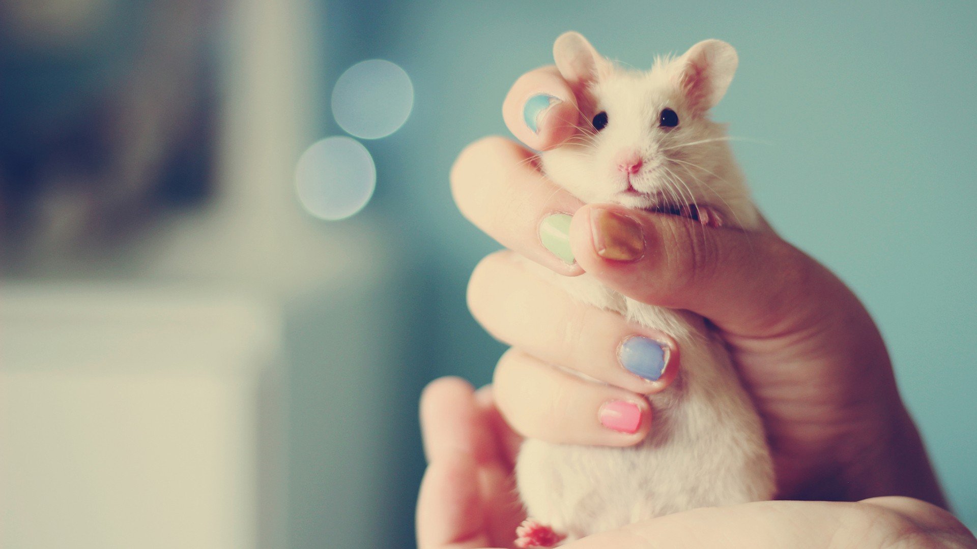 小清新 温暖 干净 安静 唯美 静物 物语 时光