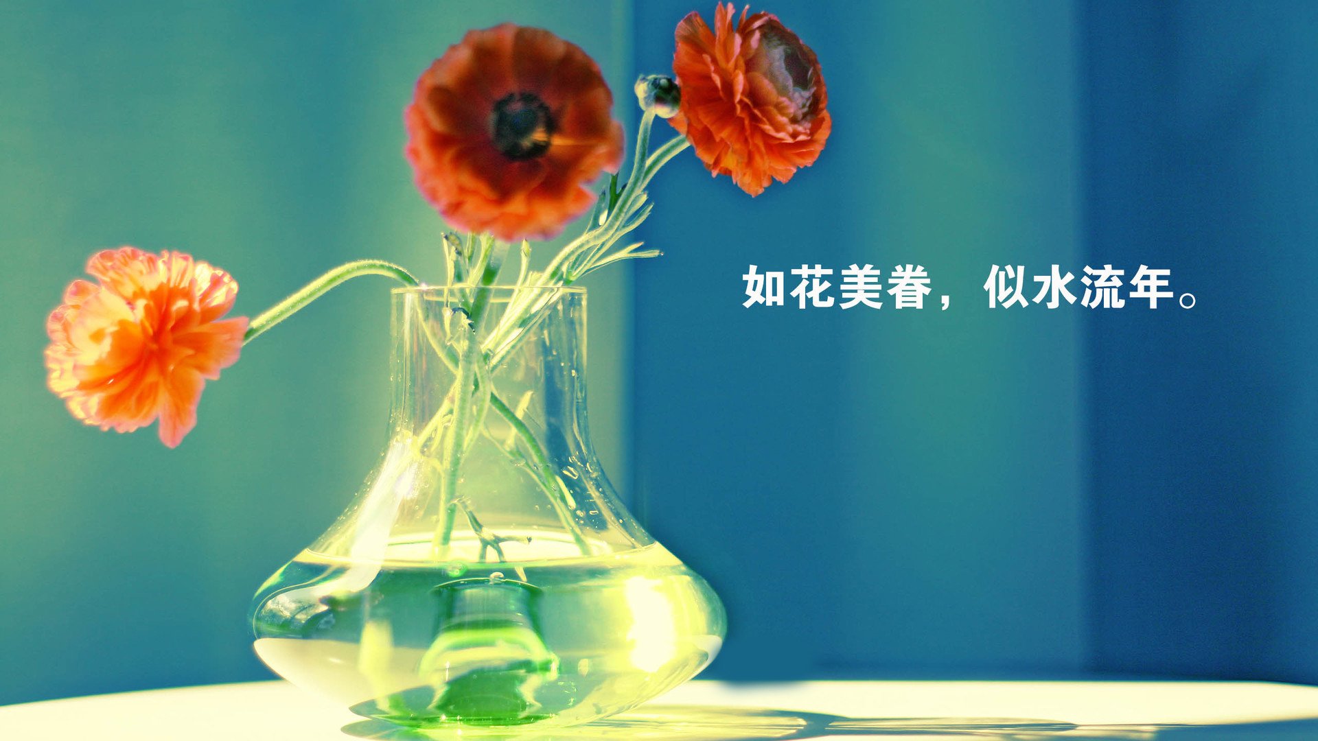 小清新 温暖 干净 安静 唯美 静物 物语 时光 清新淡雅 花朵