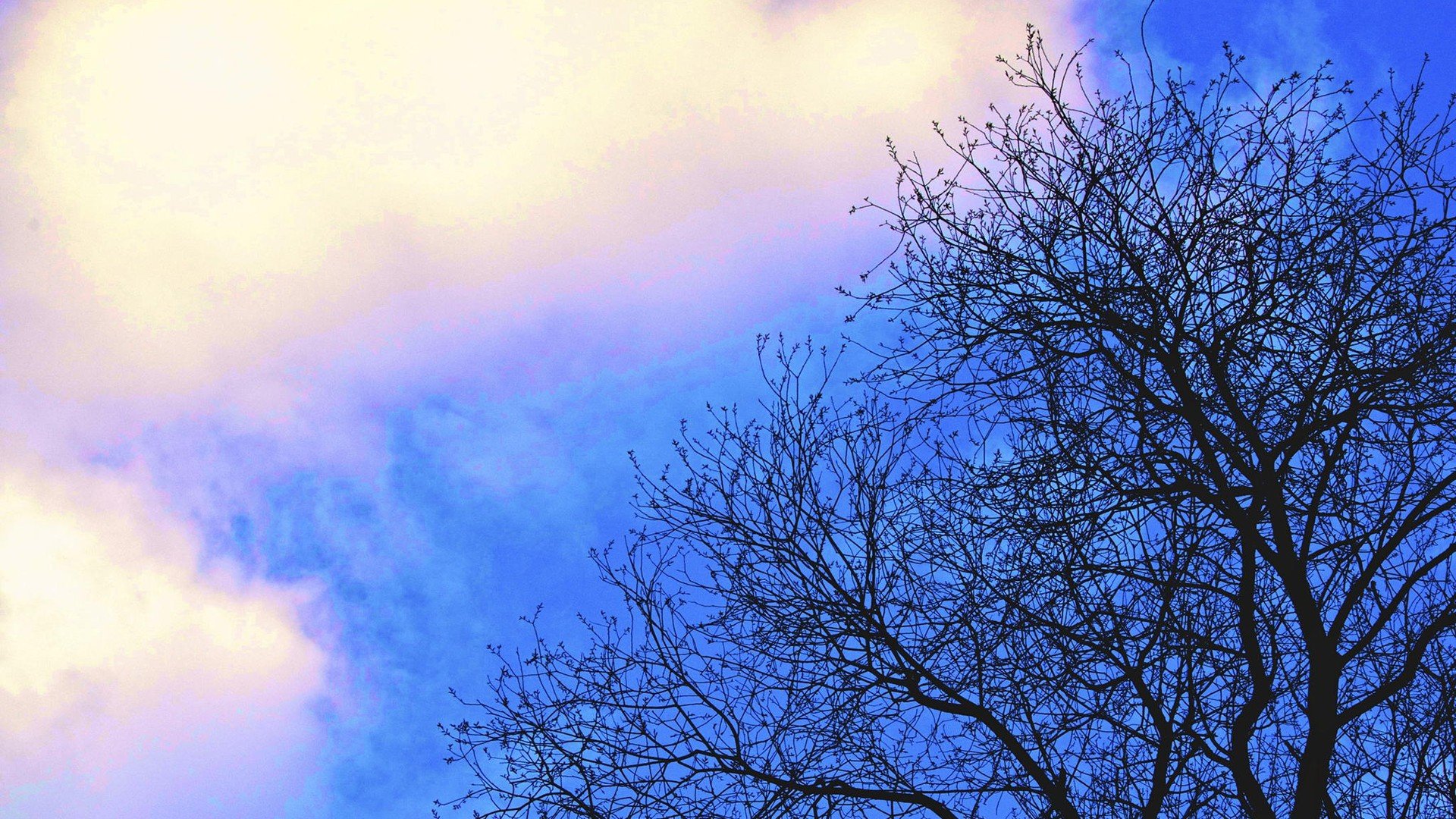 炫酷 特效  简约 简单