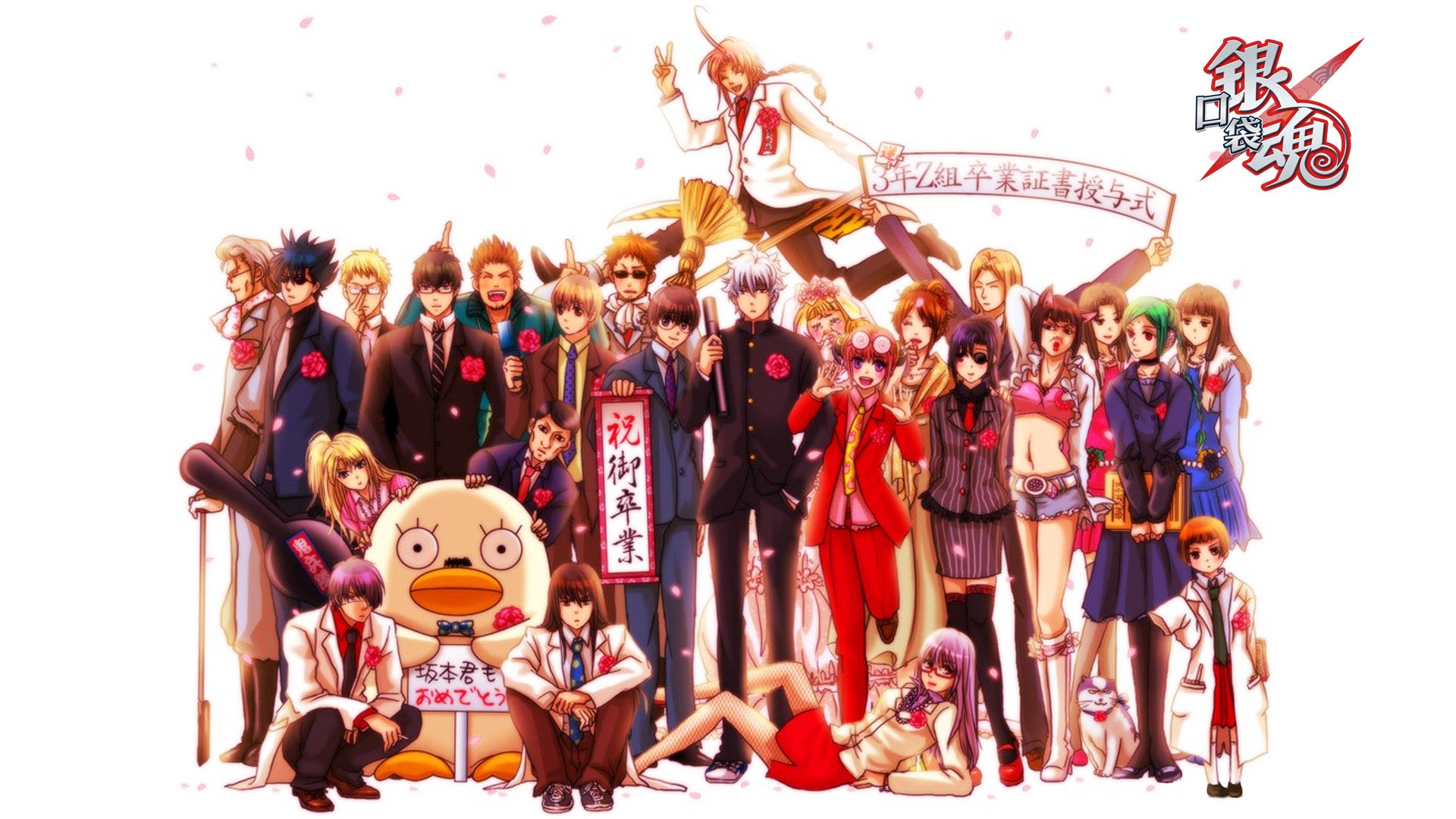 动漫 吐槽 银魂 日本 二次元 日漫 小清新 Q 坂田 坂田银时 银桑 万事屋 口袋银魂