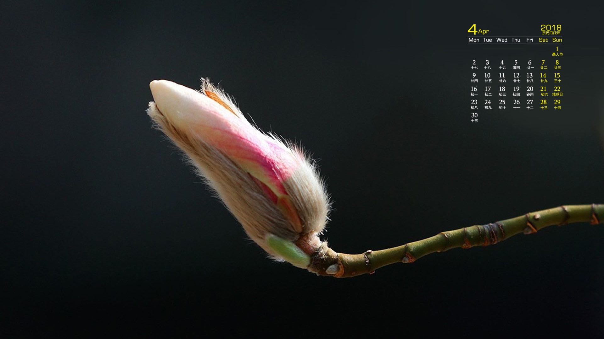 月历 2018年4月
