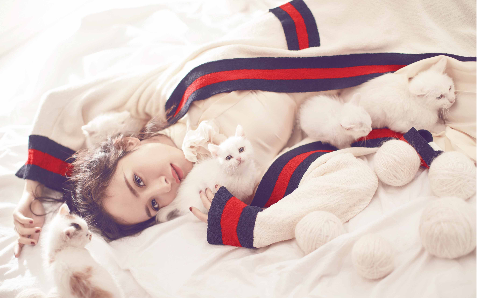 杨幂 冬日 猫咪