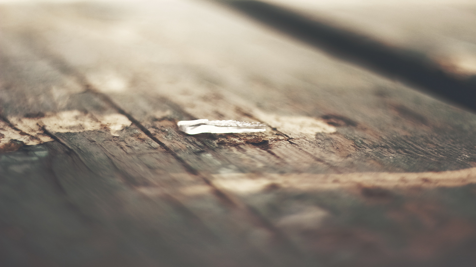 小清新 意境 摄影