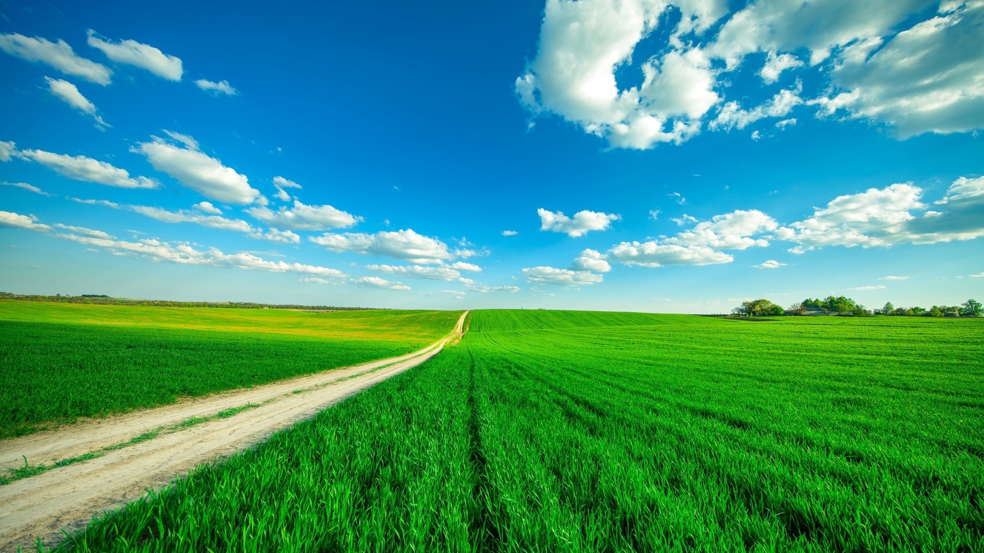 小清新 护眼壁纸 草原 蓝天 白云