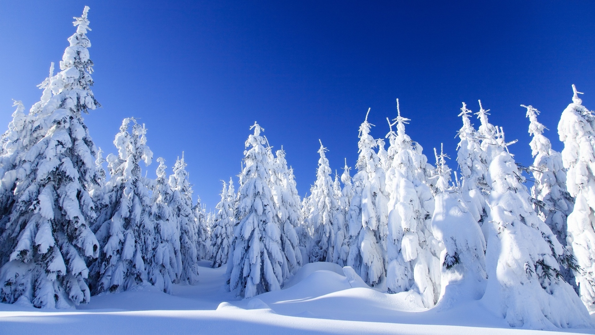 冰天雪地