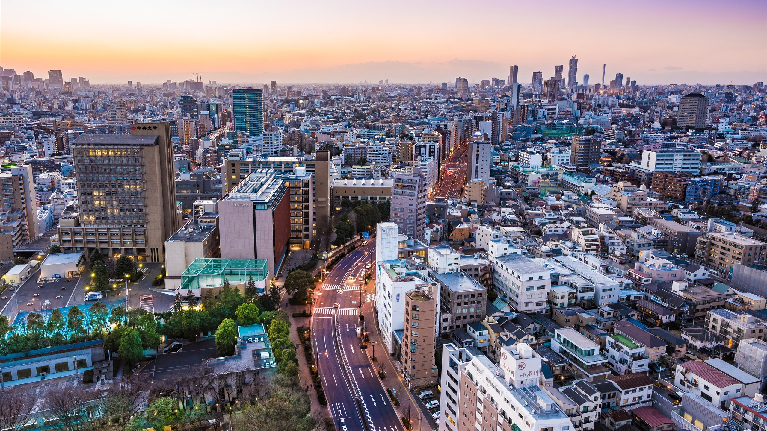 风景 城市建筑 旅游胜地 日本 东京