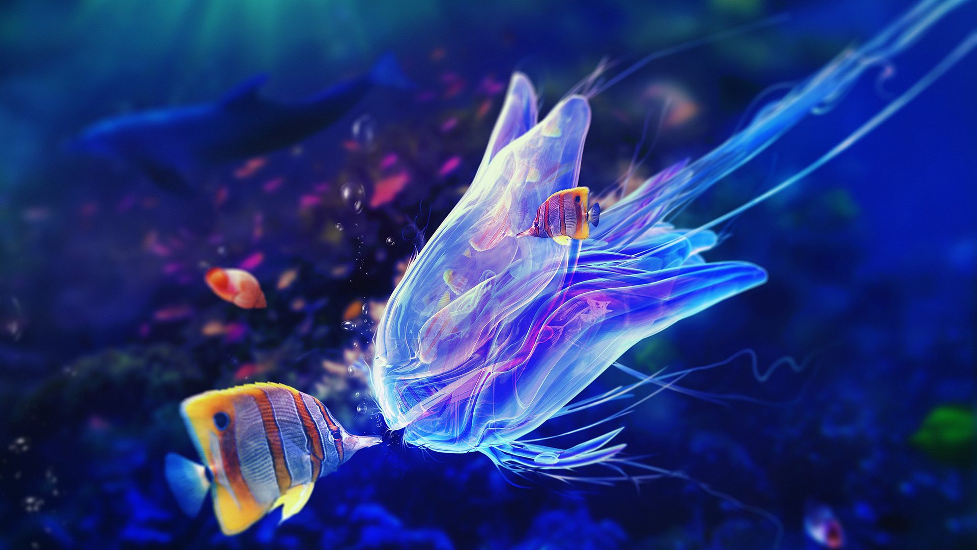 炫酷 海底世界 水族馆 鱼