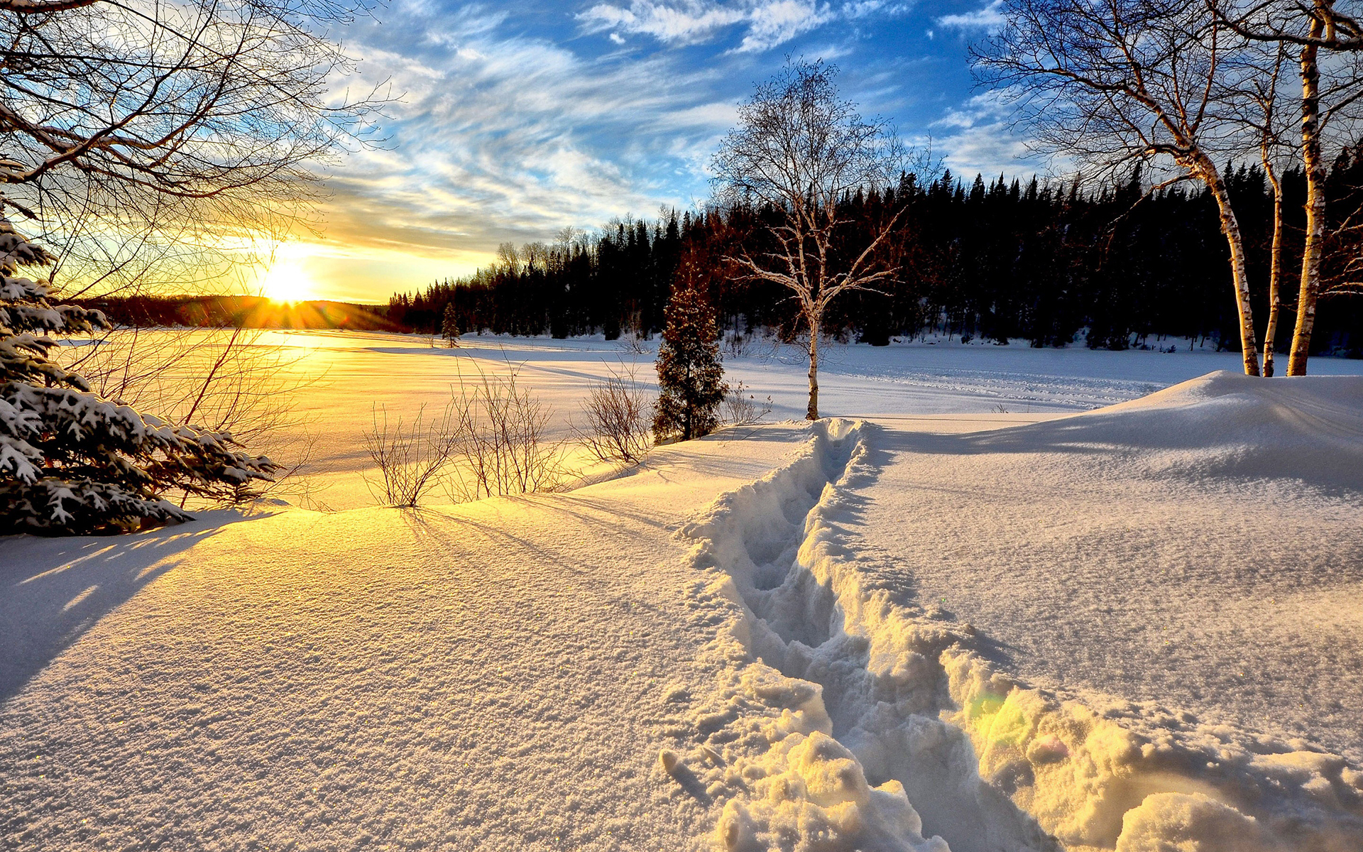 自然风光  冬季  雪景  唯美  夕阳