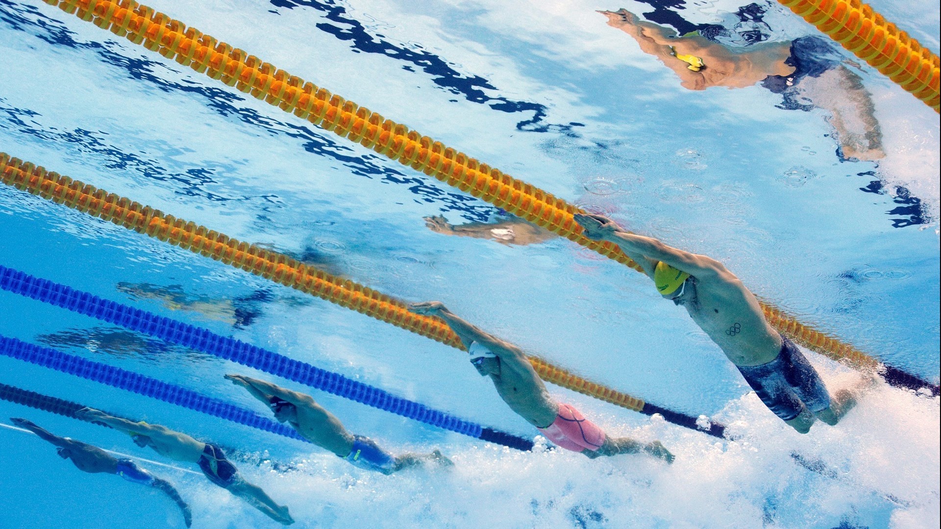 孙杨 奥运会 游泳