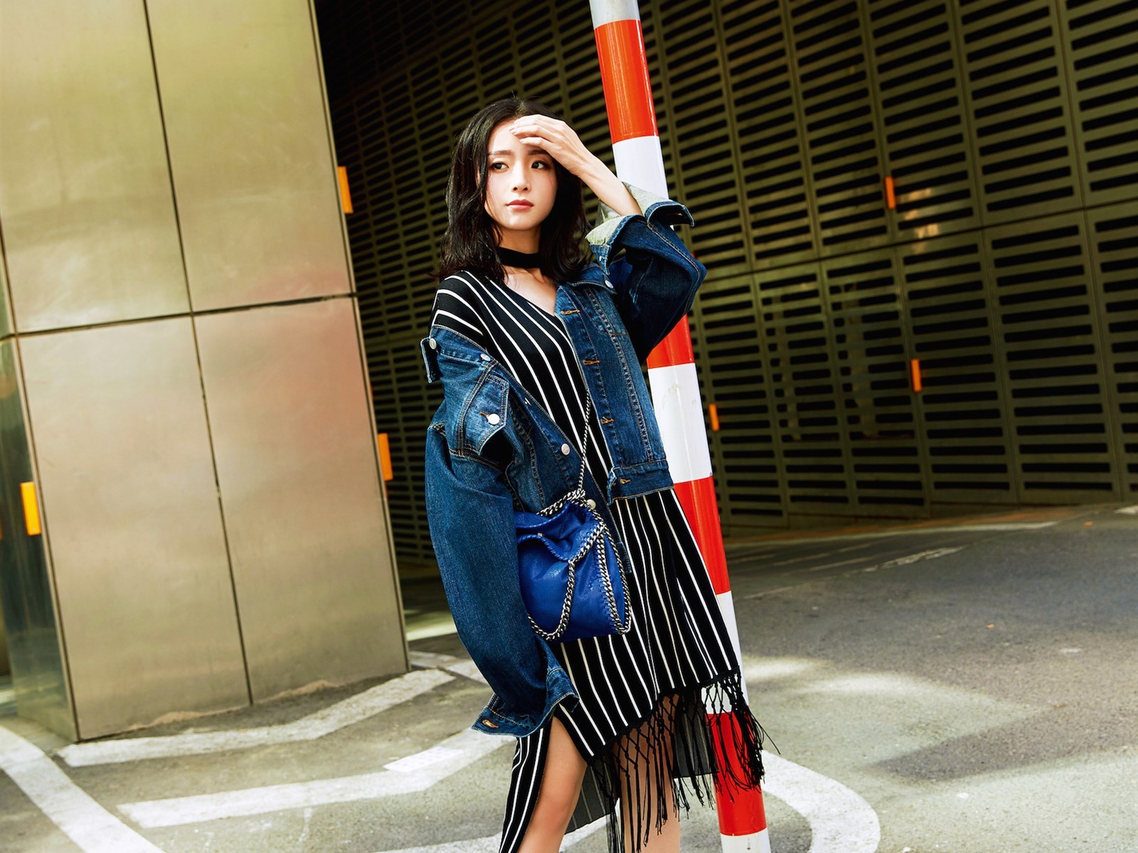 内地明星 胡冰卿