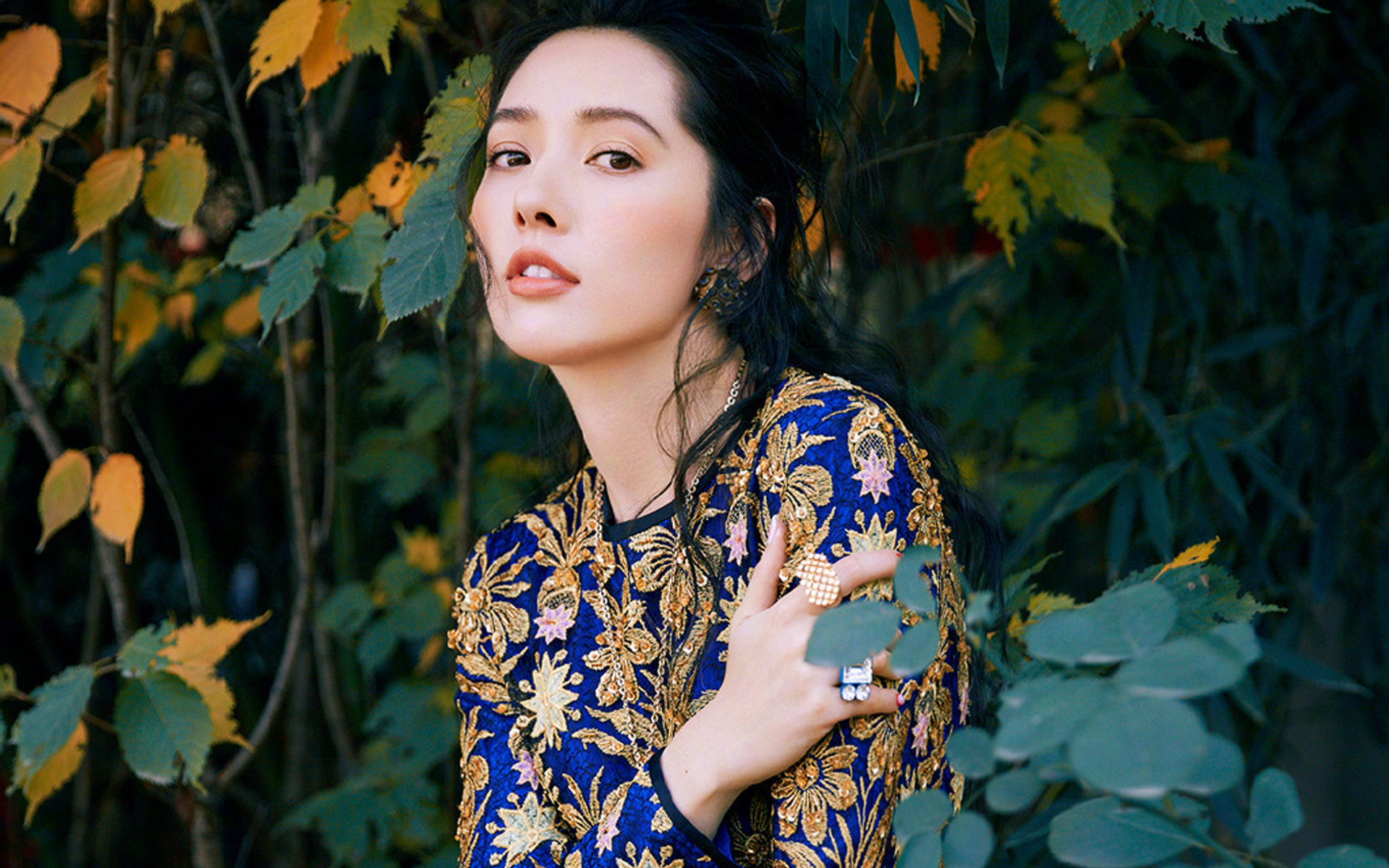 港台明星 郭碧婷