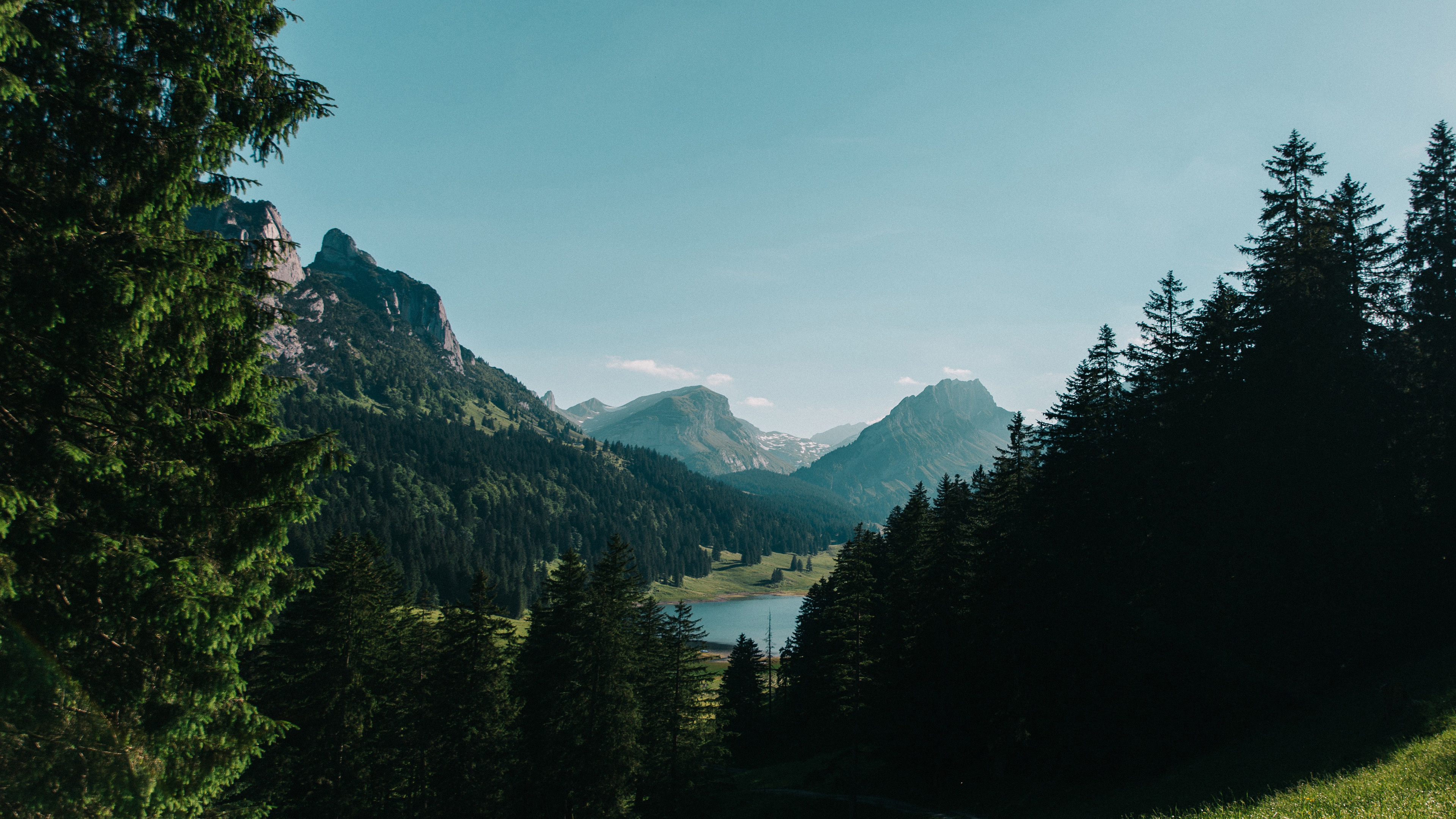 4K 风景 森林 湖泊