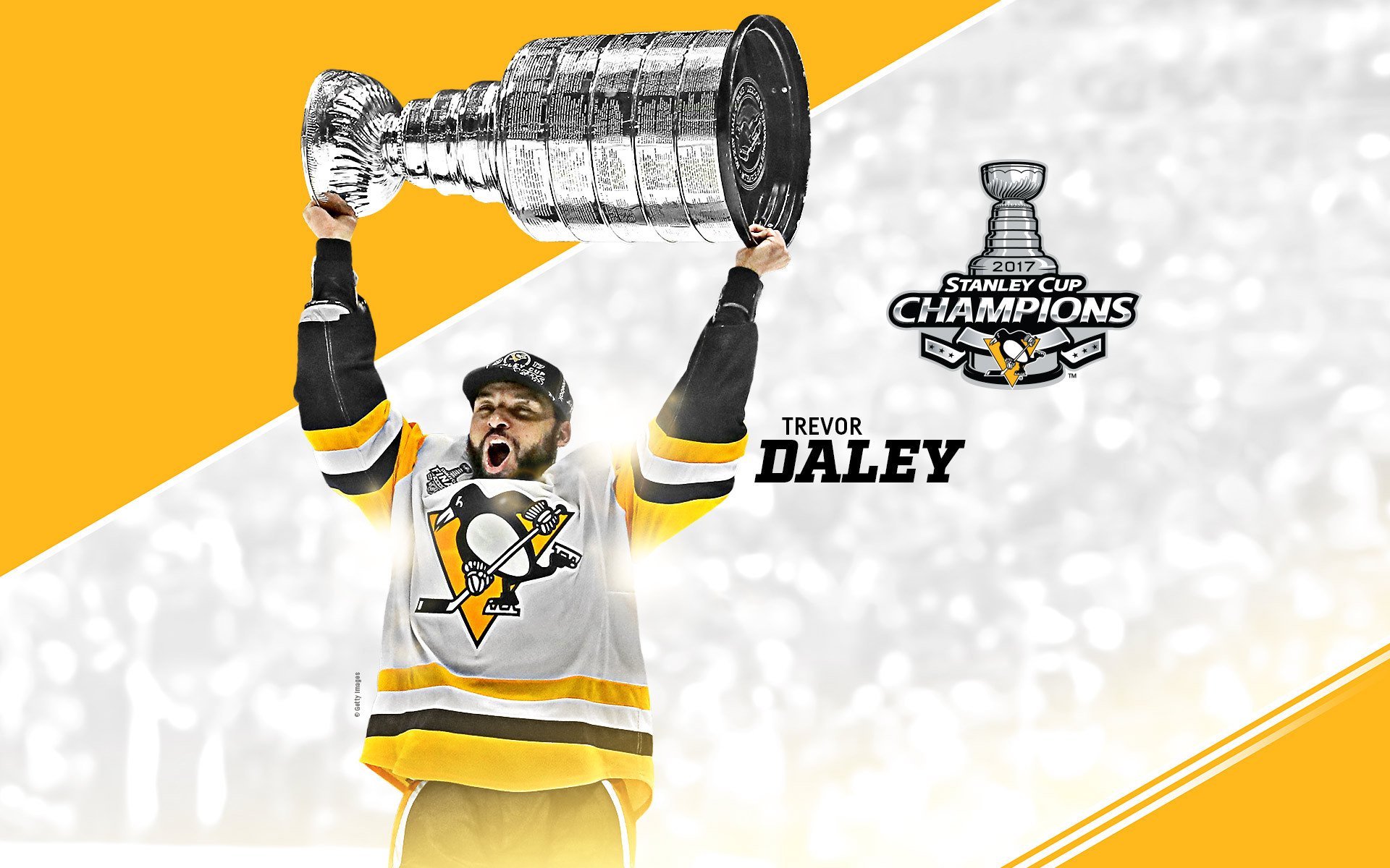 体育 运动 2017NHL总冠军球员 冰球